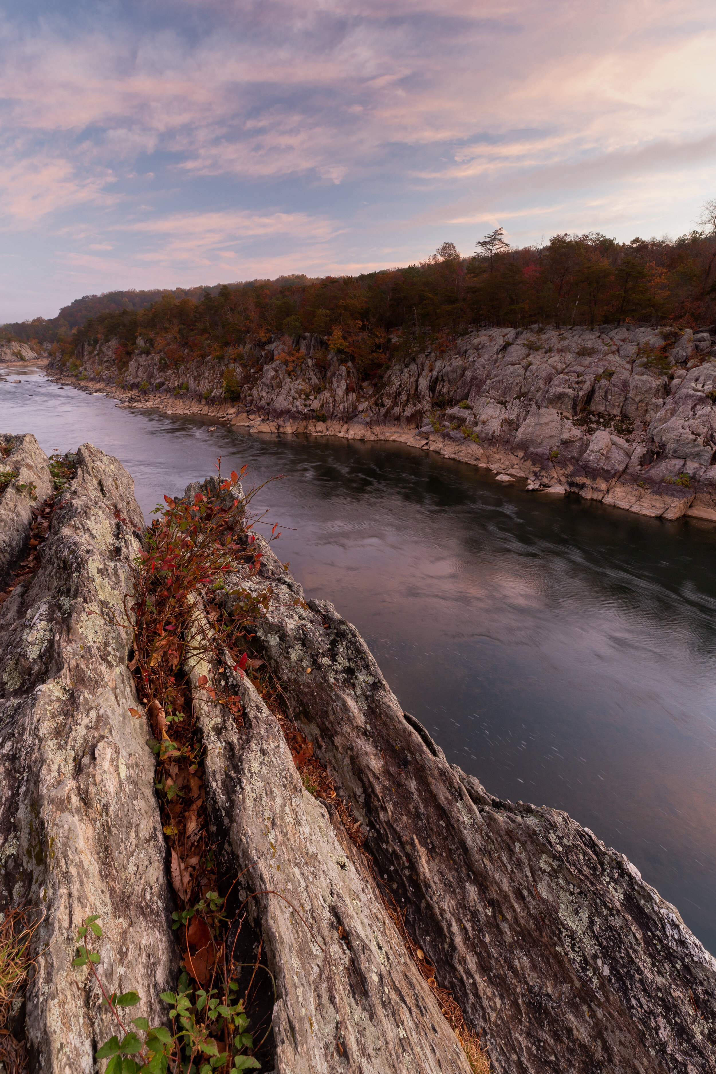 Autumn Rock. Great Falls N.P., Va. (Oct. 2020)