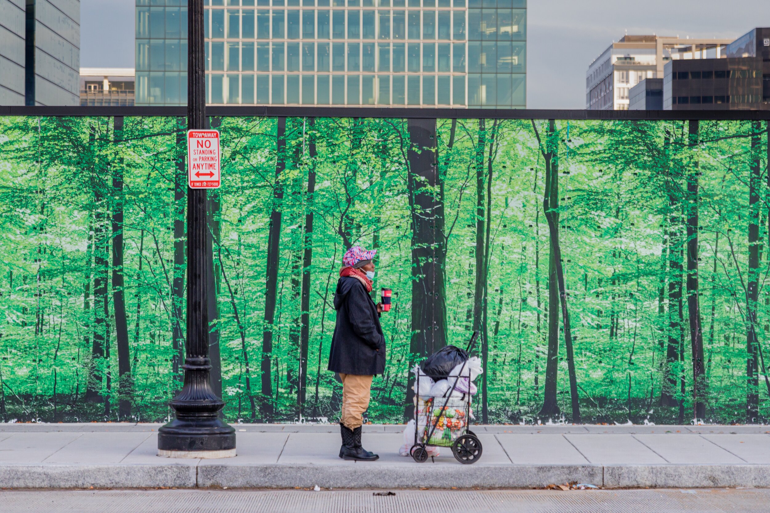 Forest Block. Washington, D.C. (Jan. 2021)