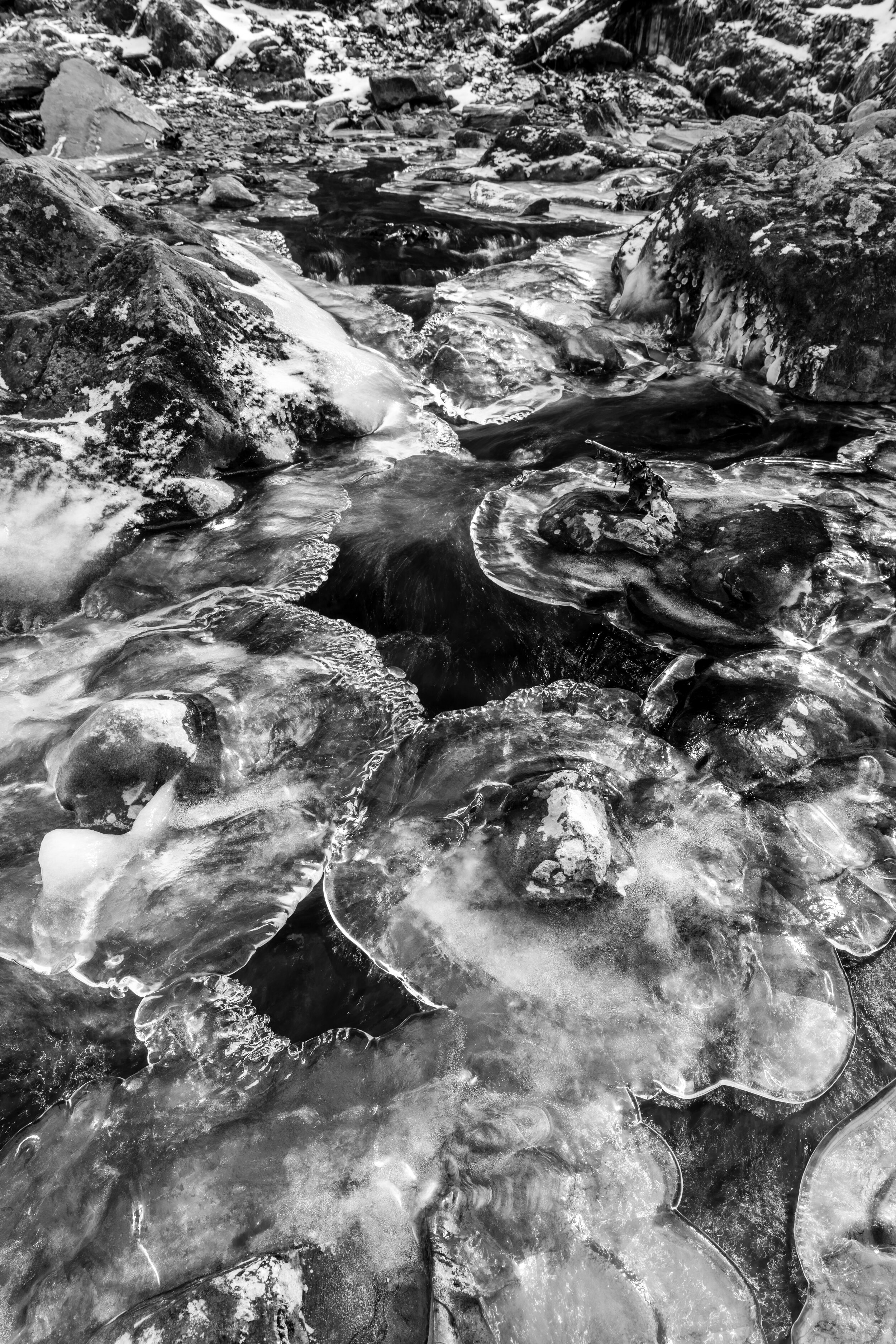 Circles. Shenandoah N.P. (Jan. 2021)