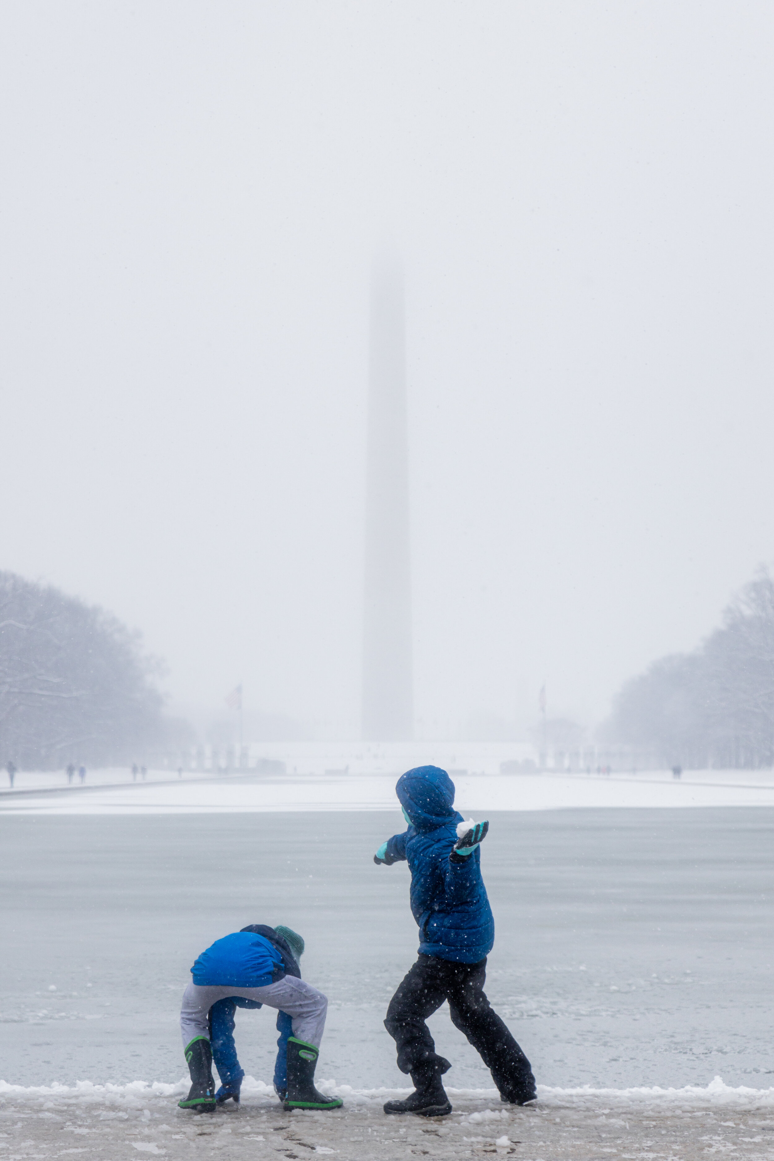 Toss. Washington, D.C. (Jan. 2021)