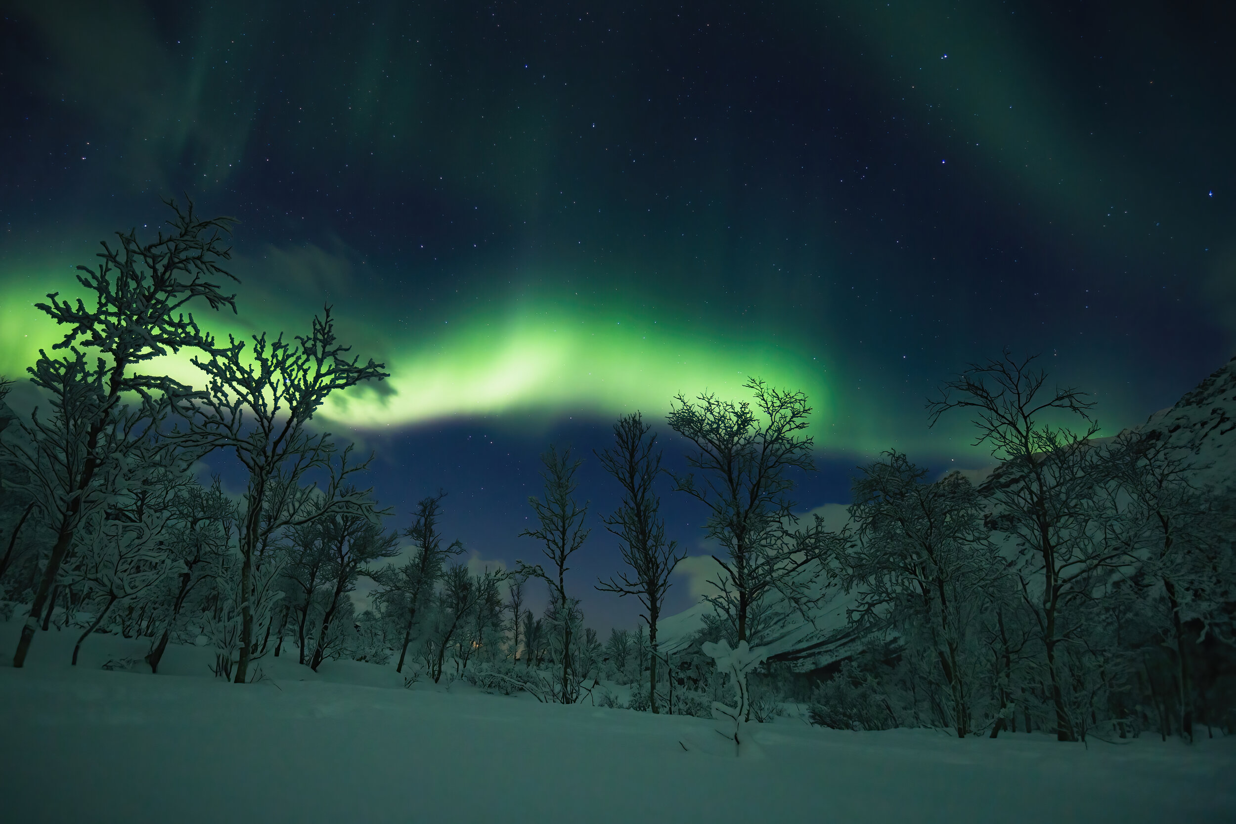 Northern Lights Show. Tromsø, Norway (Dec. 2017)