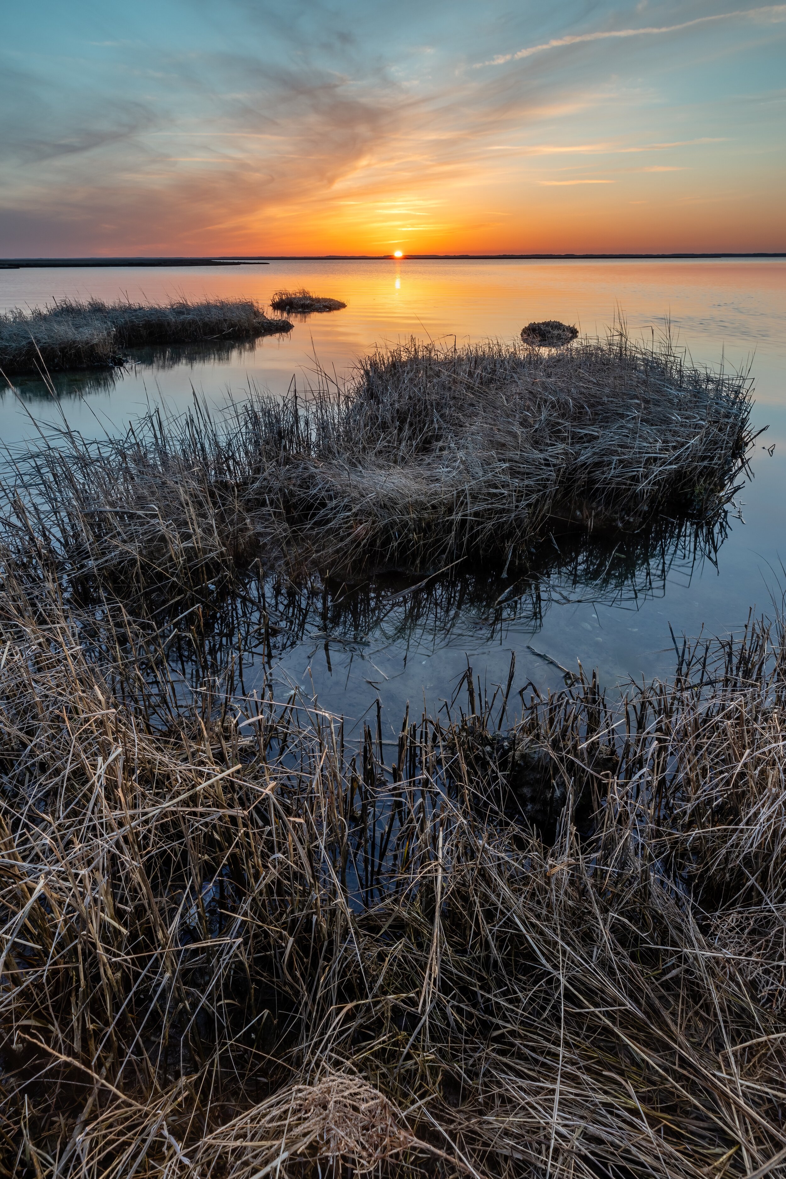 Marsh Sunset. Assateague, Md. (Mar. 2021)
