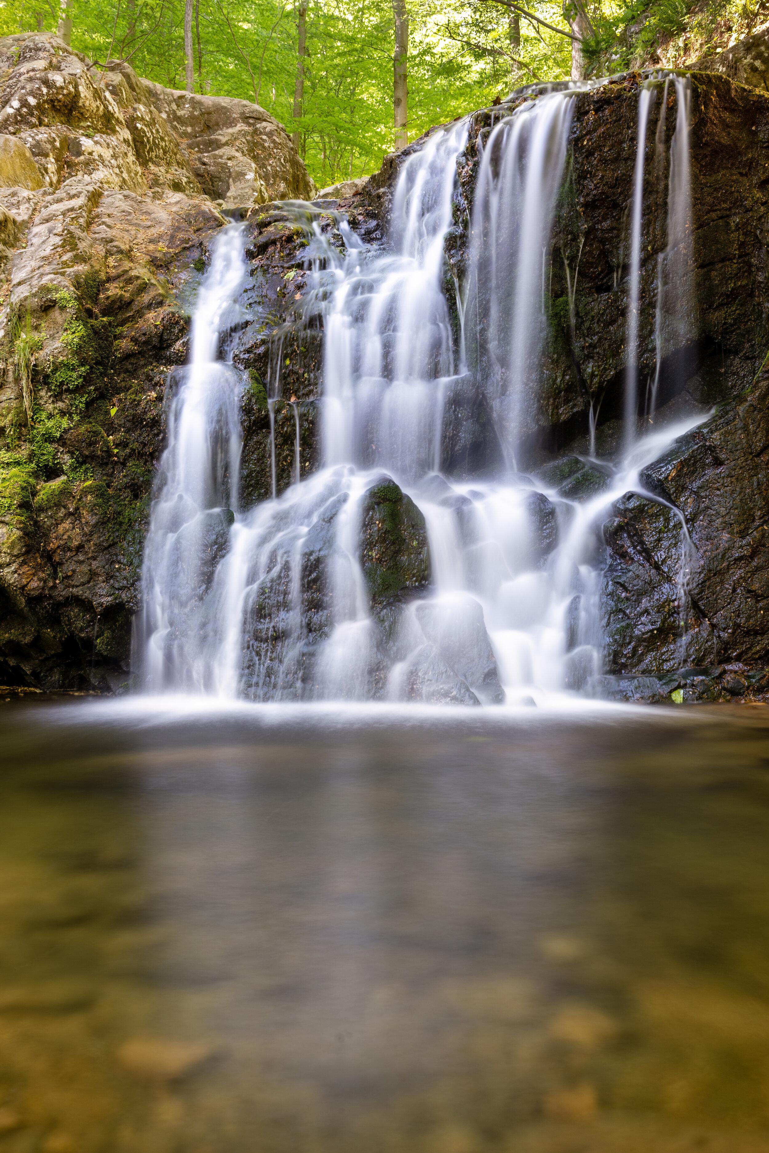 Cascade Falls. Patapsco Valley, Md. (May 2021)