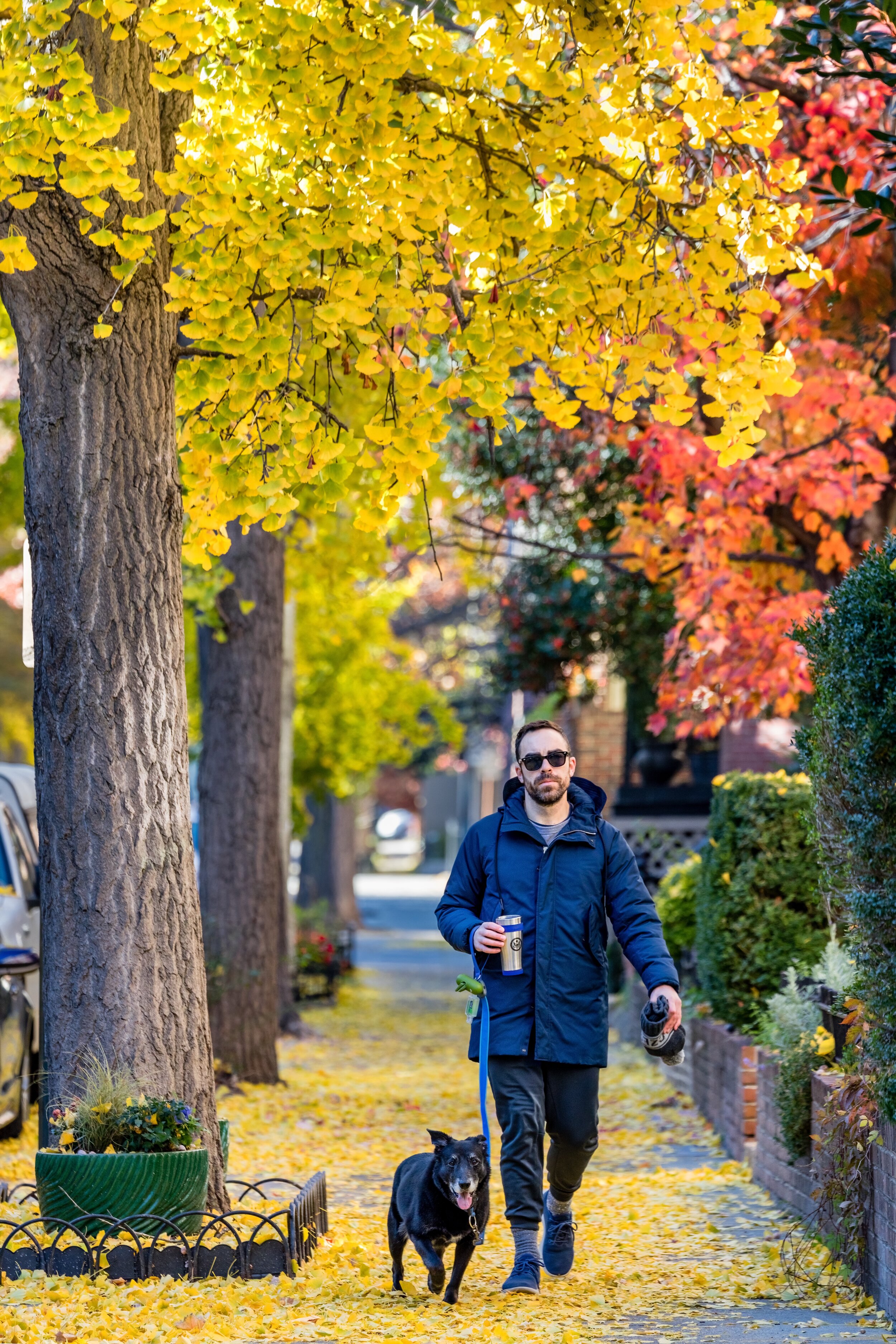 Yellow-Brick Road. Washington, D.C. (Nov. 2021)