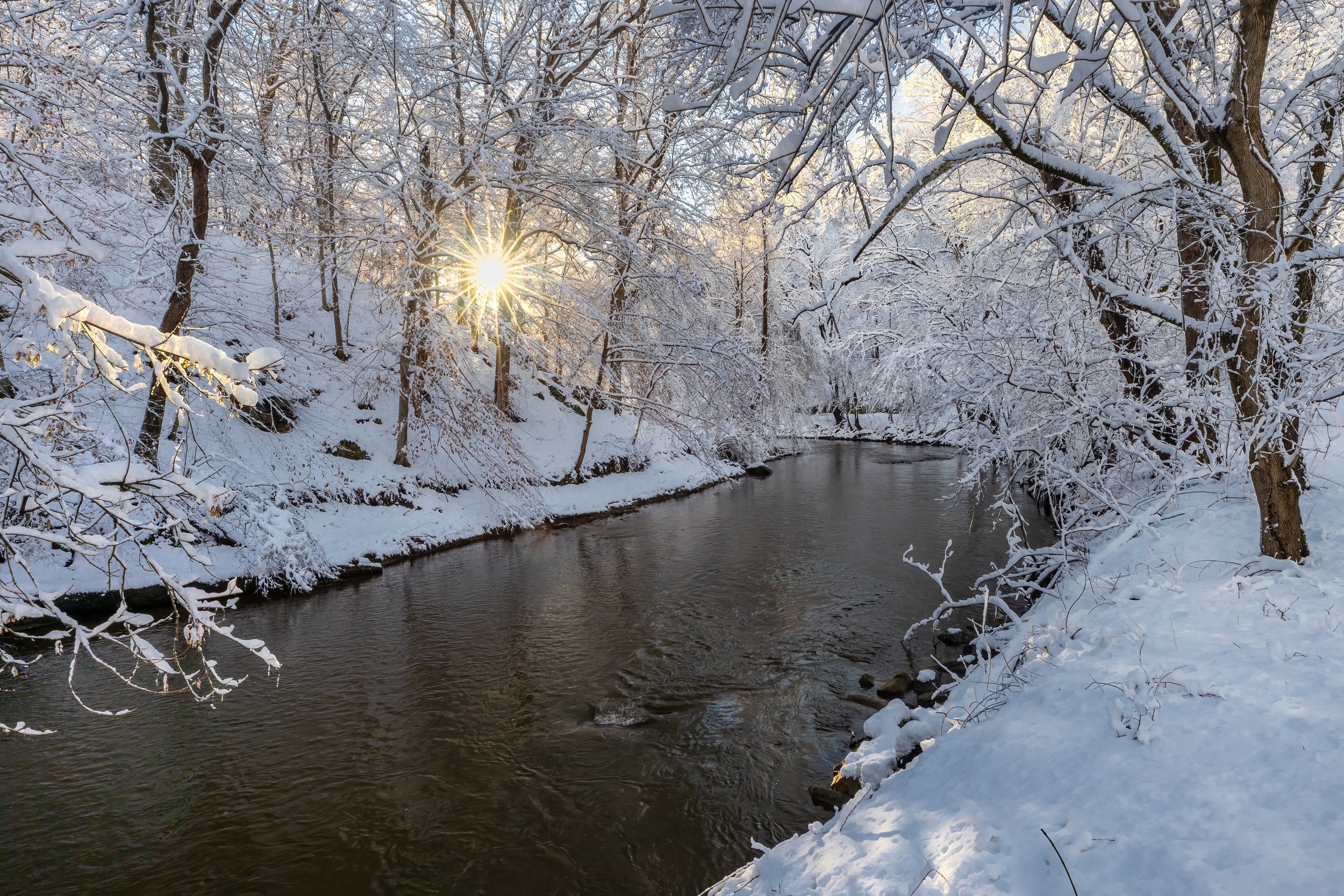 Winter Burst. Washington, D.C. (Jan. 2022)