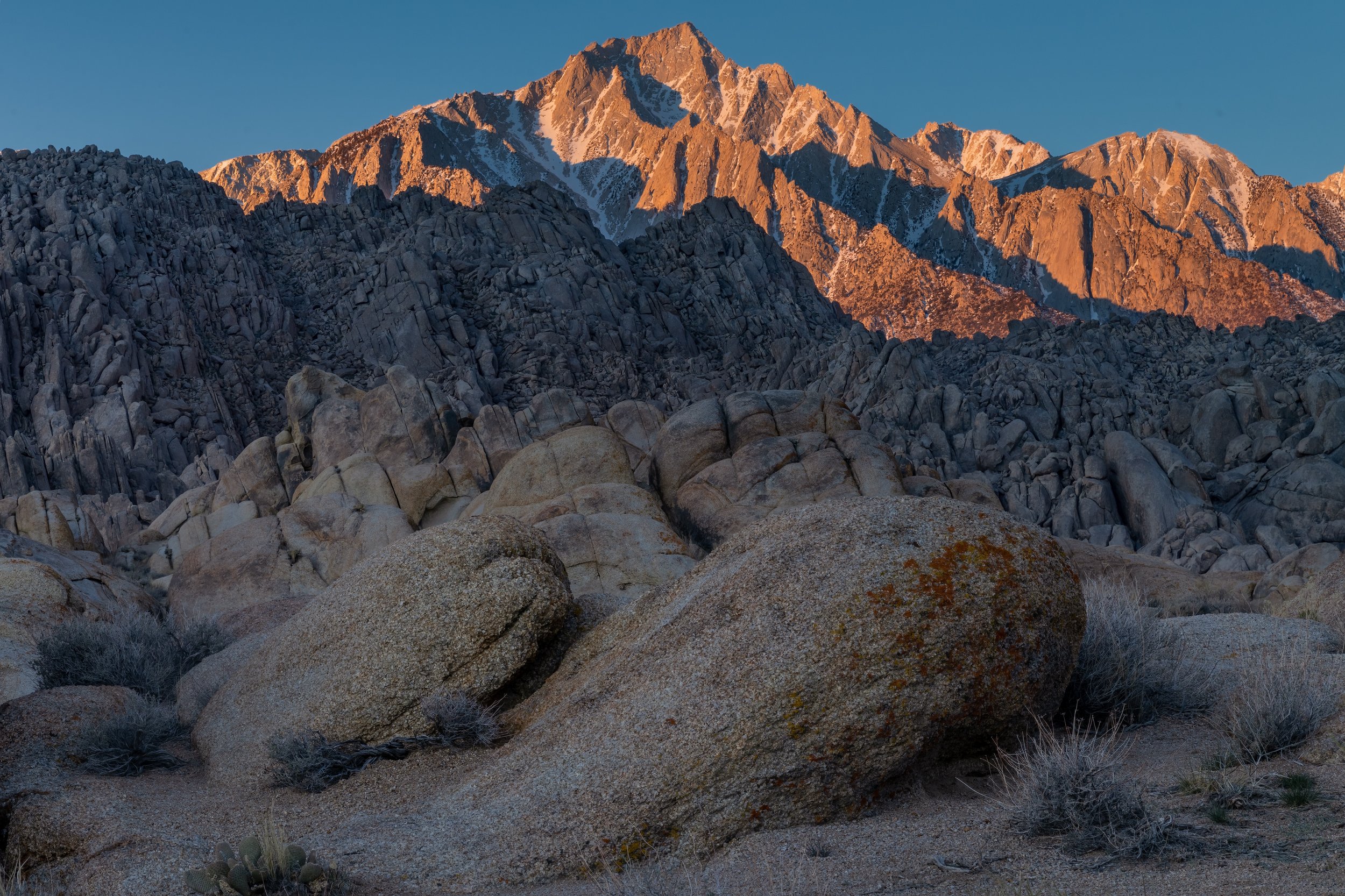 Lone Pine Daybreak. Alabama Hills, Calif. (Mar. 2022)