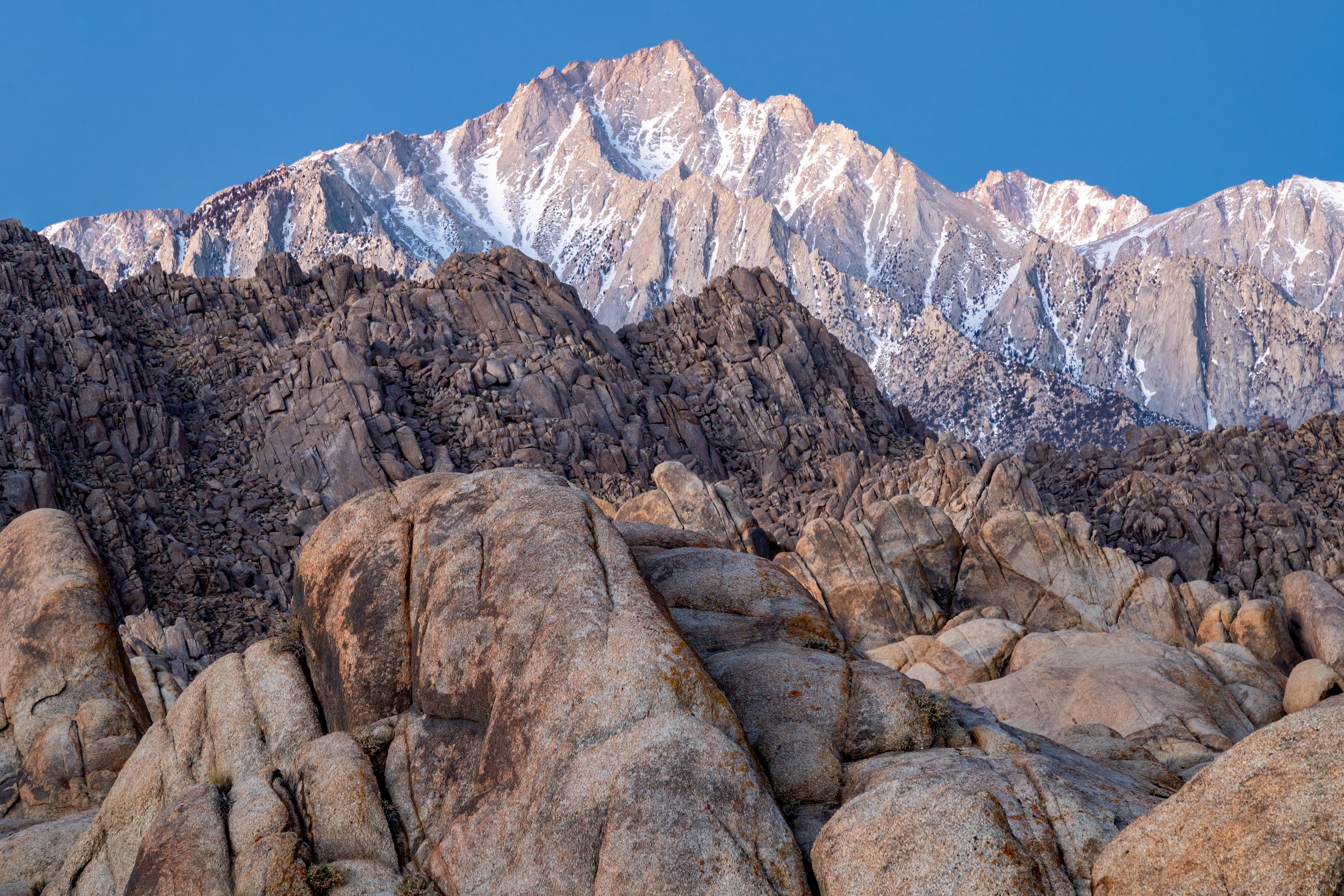 Alpine Glow. Alabama Hills, Calif. (Mar. 2022)