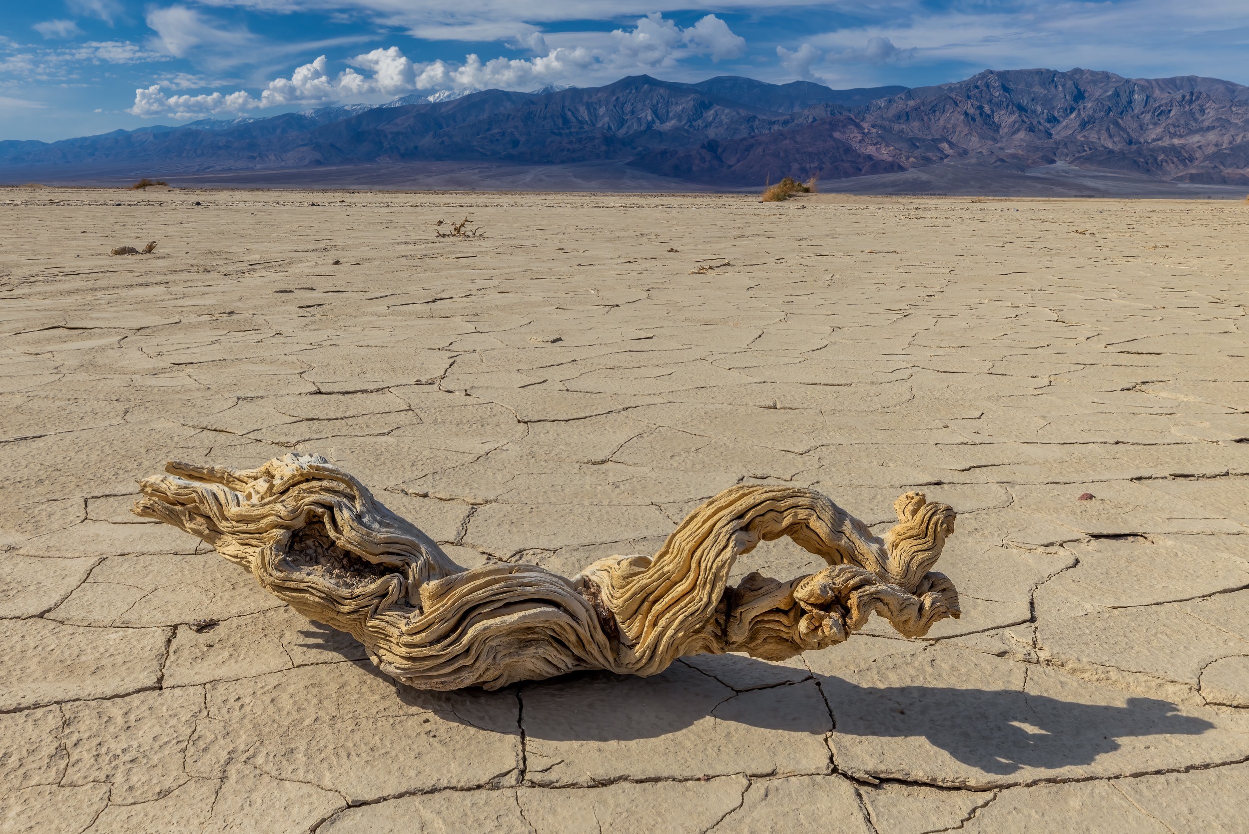 Twists And Cracks. Death Valley N.P., Calif. (Mar. 2022)