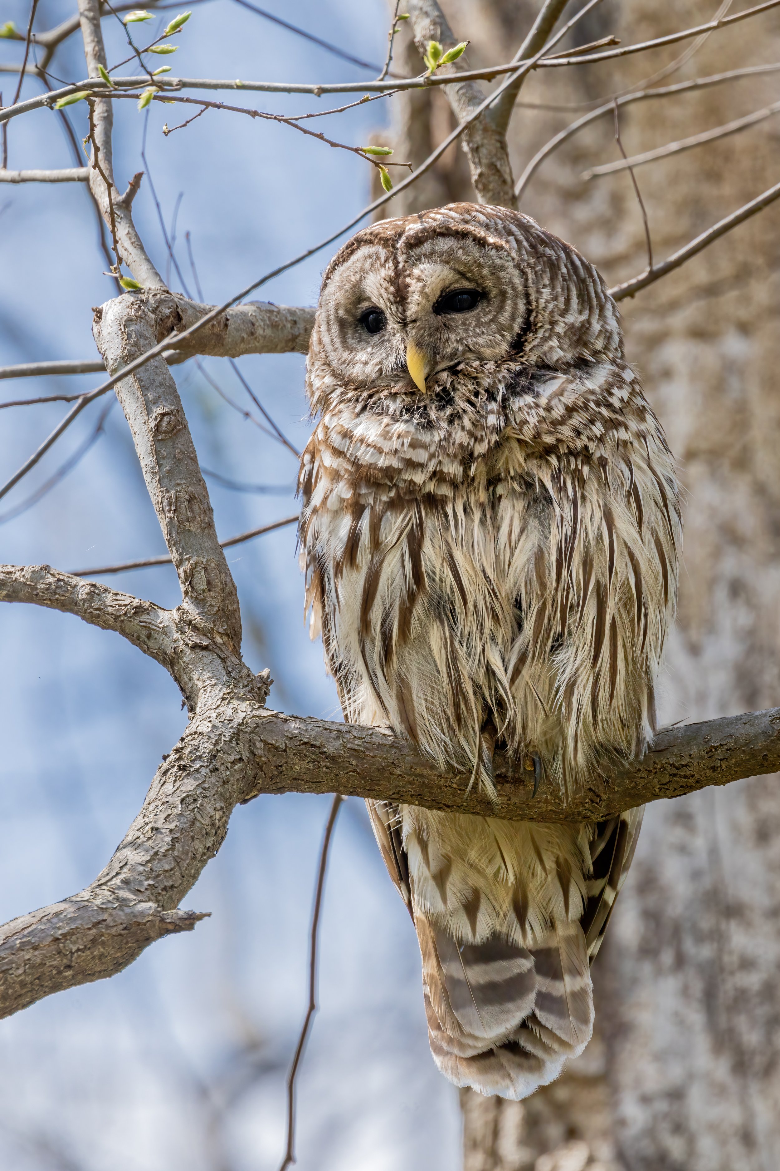 Watchful Mom (Apr. 2022)