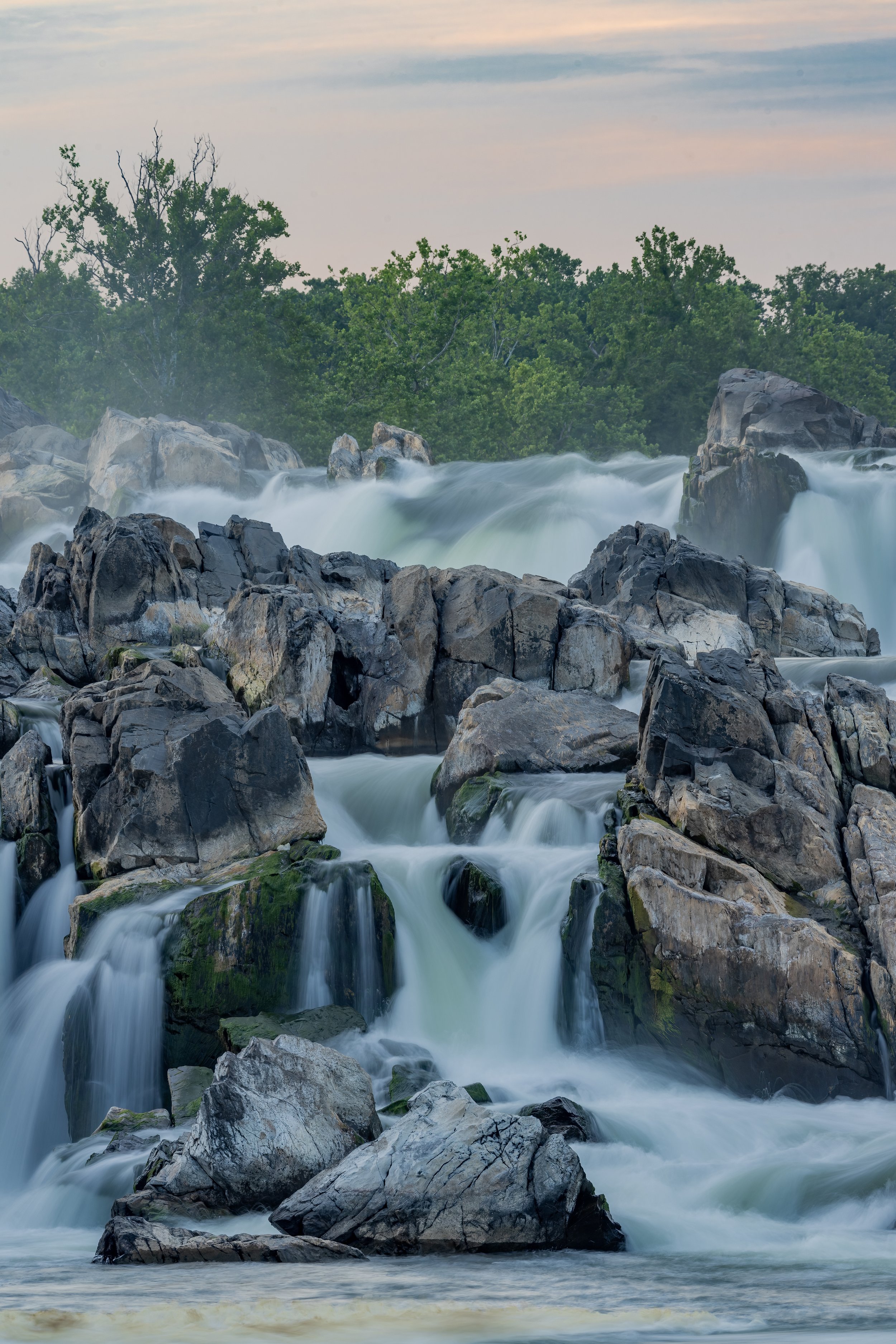 Summer Night's Dream. Great Falls, Va. (June 2022)