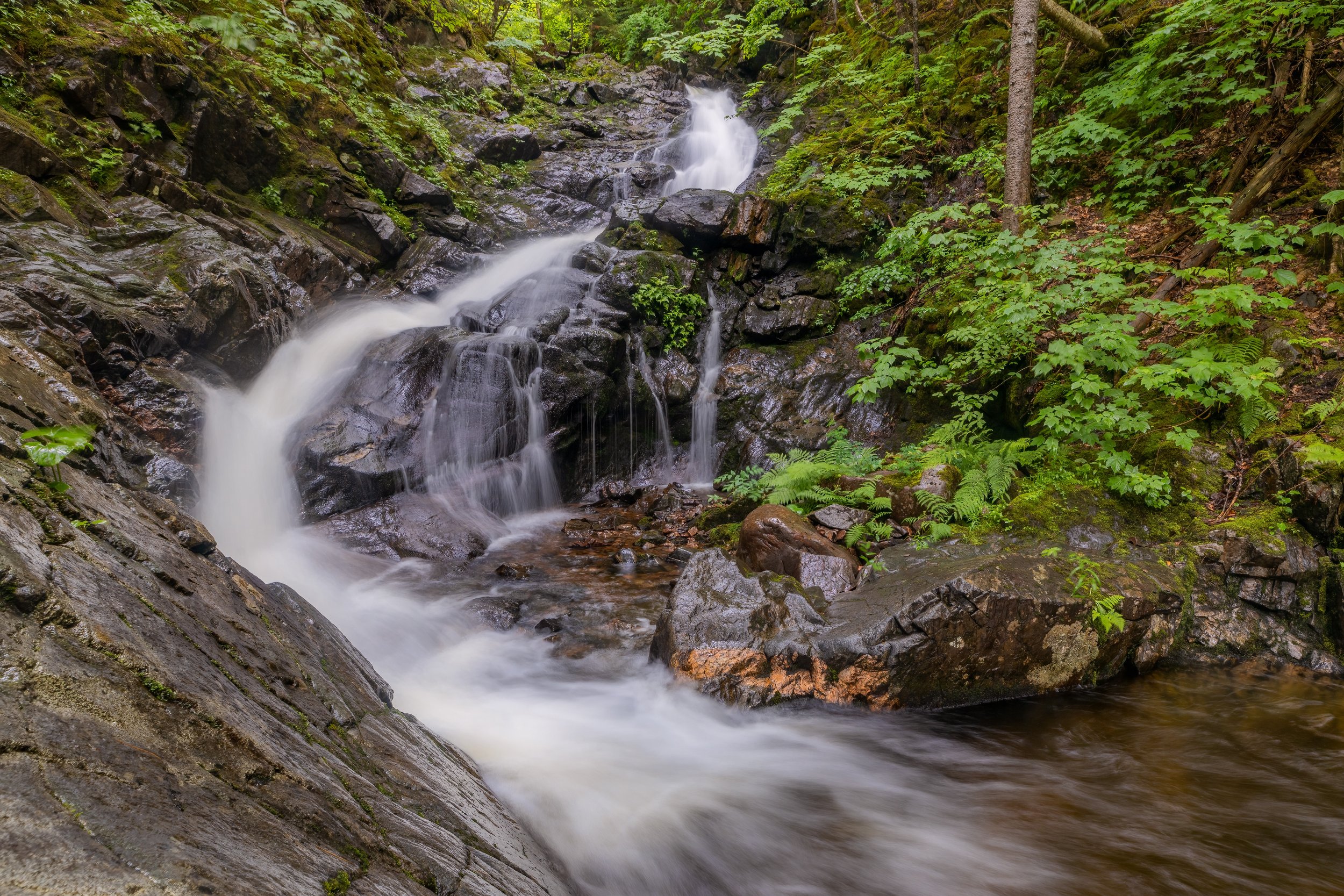 MacIntosh Brook. Cape Breton Highlands, N.S. (July 2022)