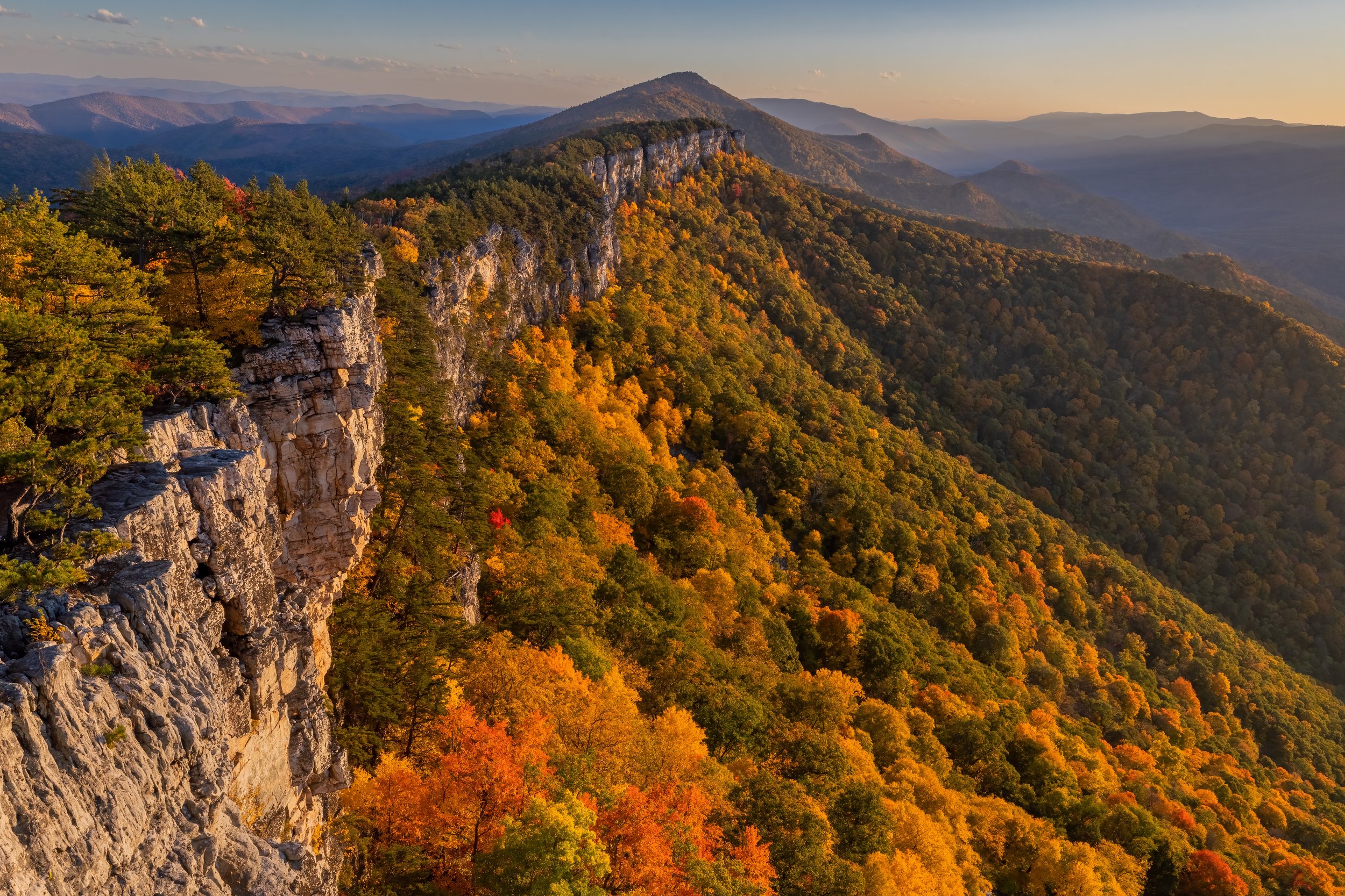 Fall Wave. Monongahela N.F., W.Va. (Oct. 2022)