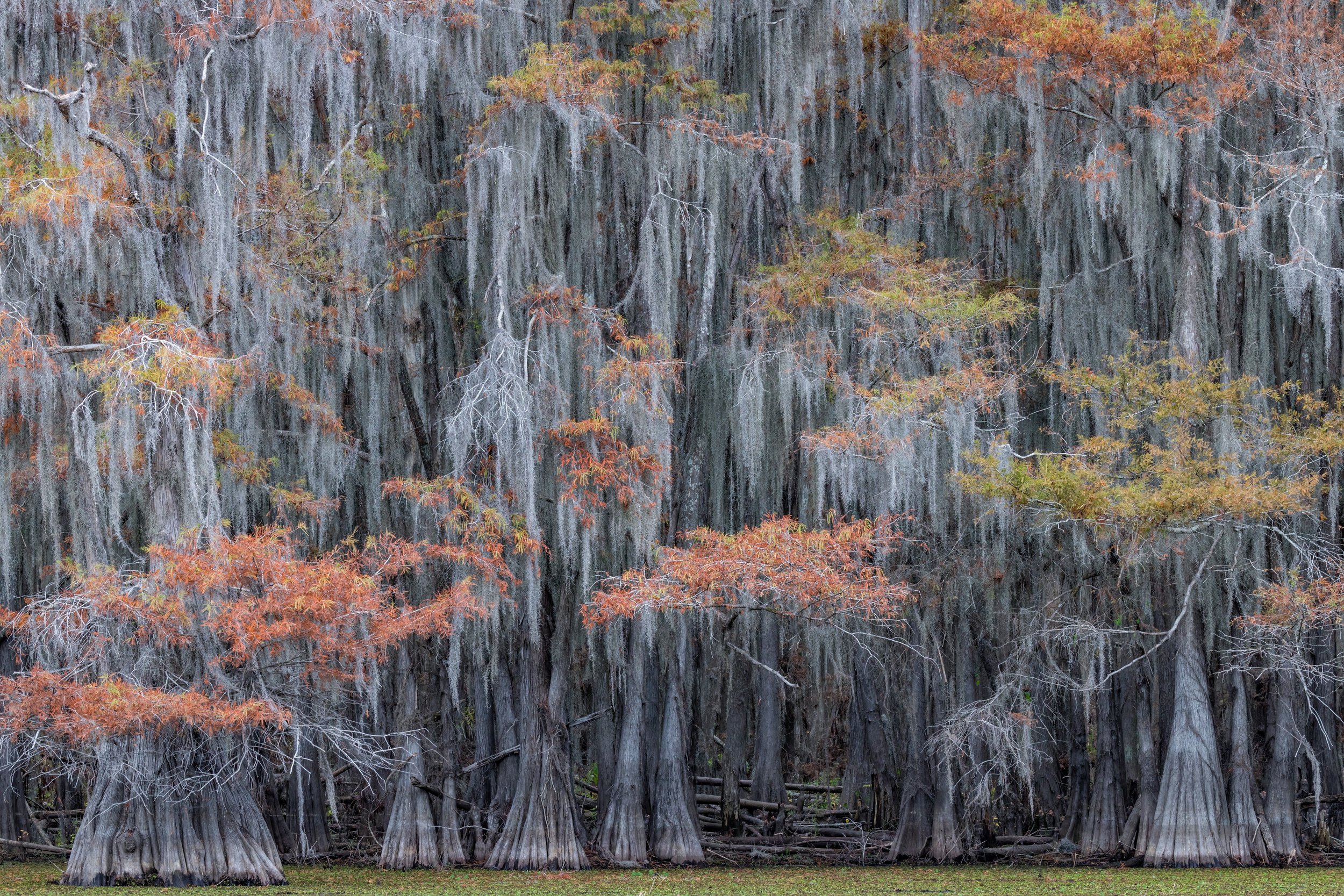 Threads. Texas (Nov. 2022)