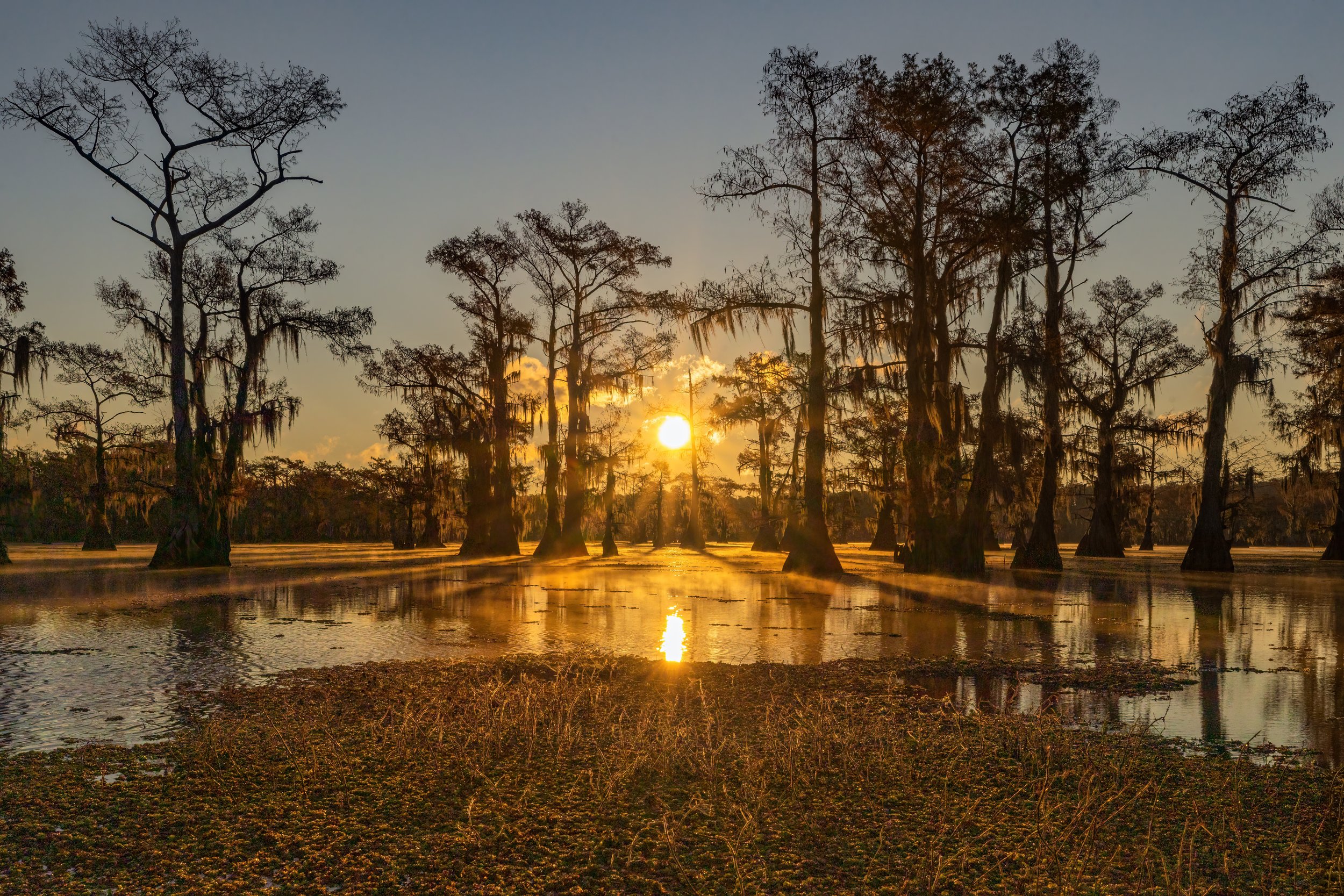 Dawn In The Bayou. Texas (Nov. 2022)