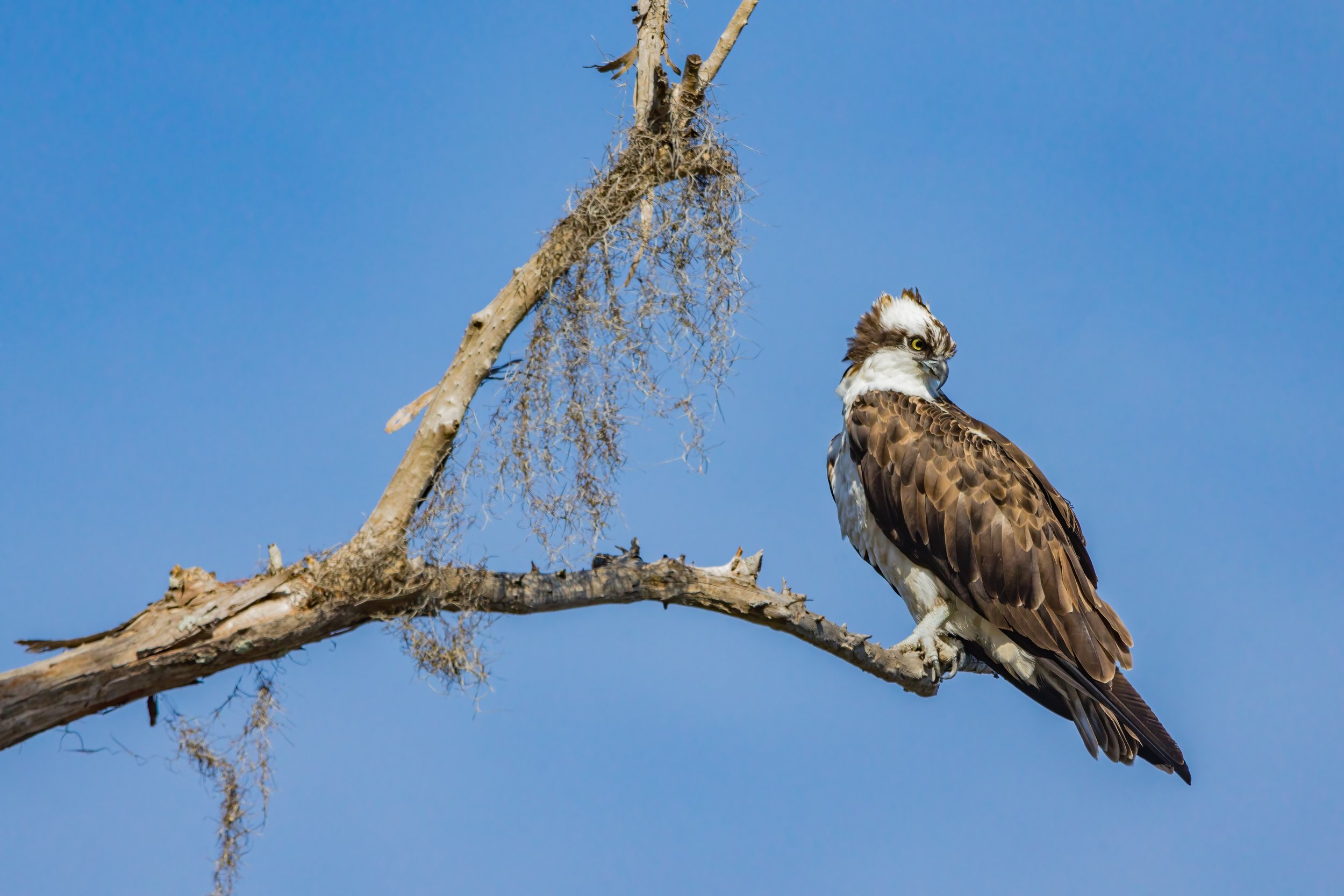  On Watch. Texas (Nov. 2022)