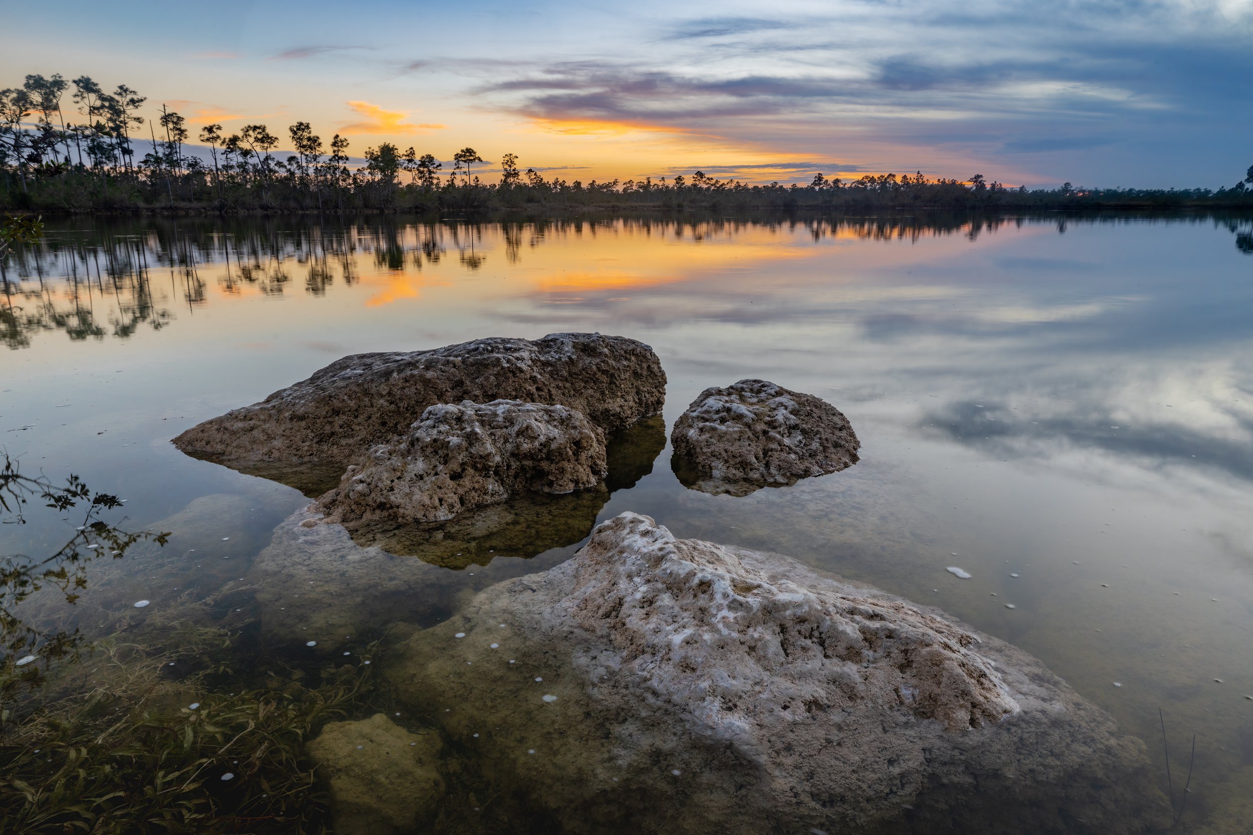 Pine Glades Sunset. Everglades N.P., Fla. (Feb. 2023)