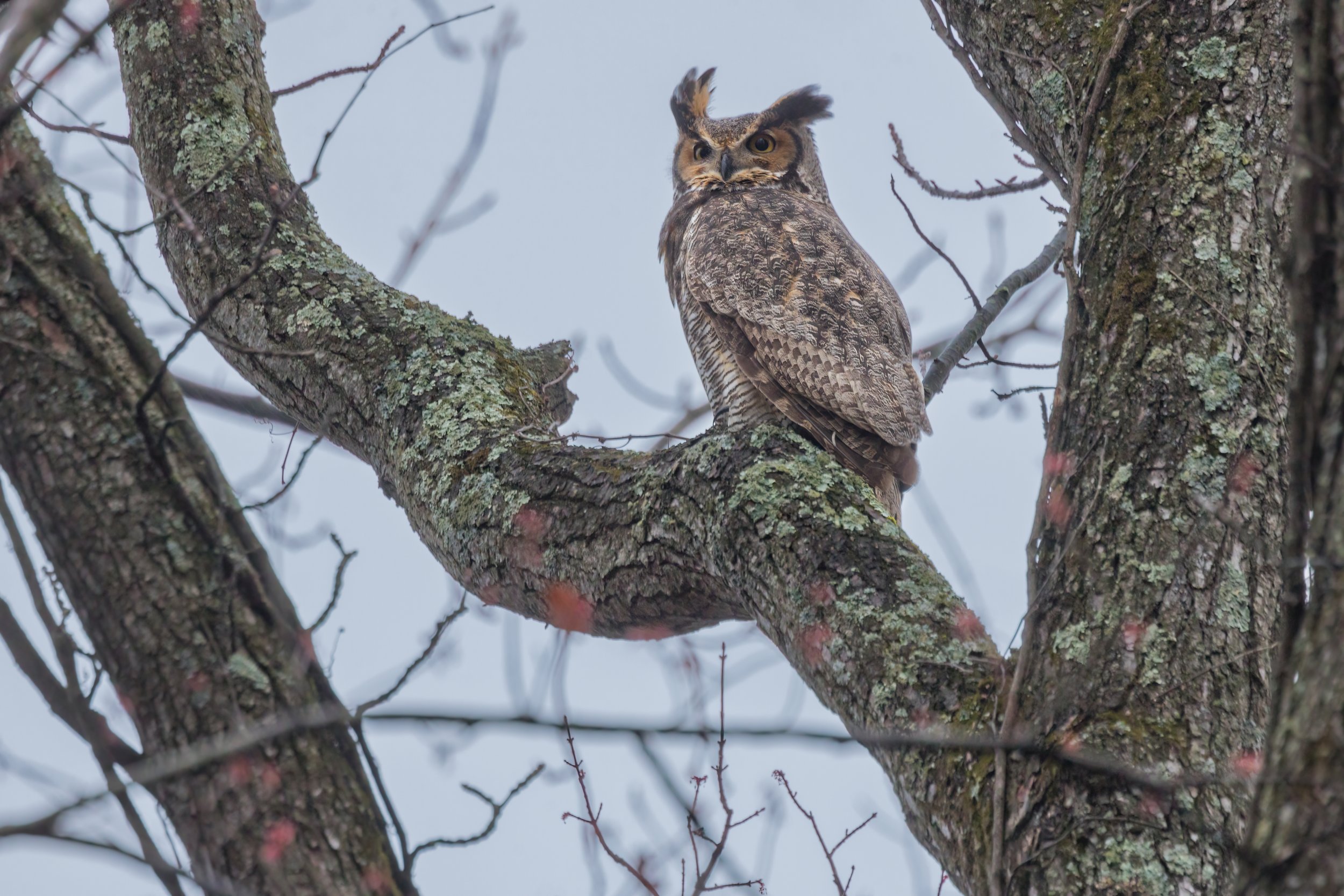 Evening Watch (Mar. 2023)