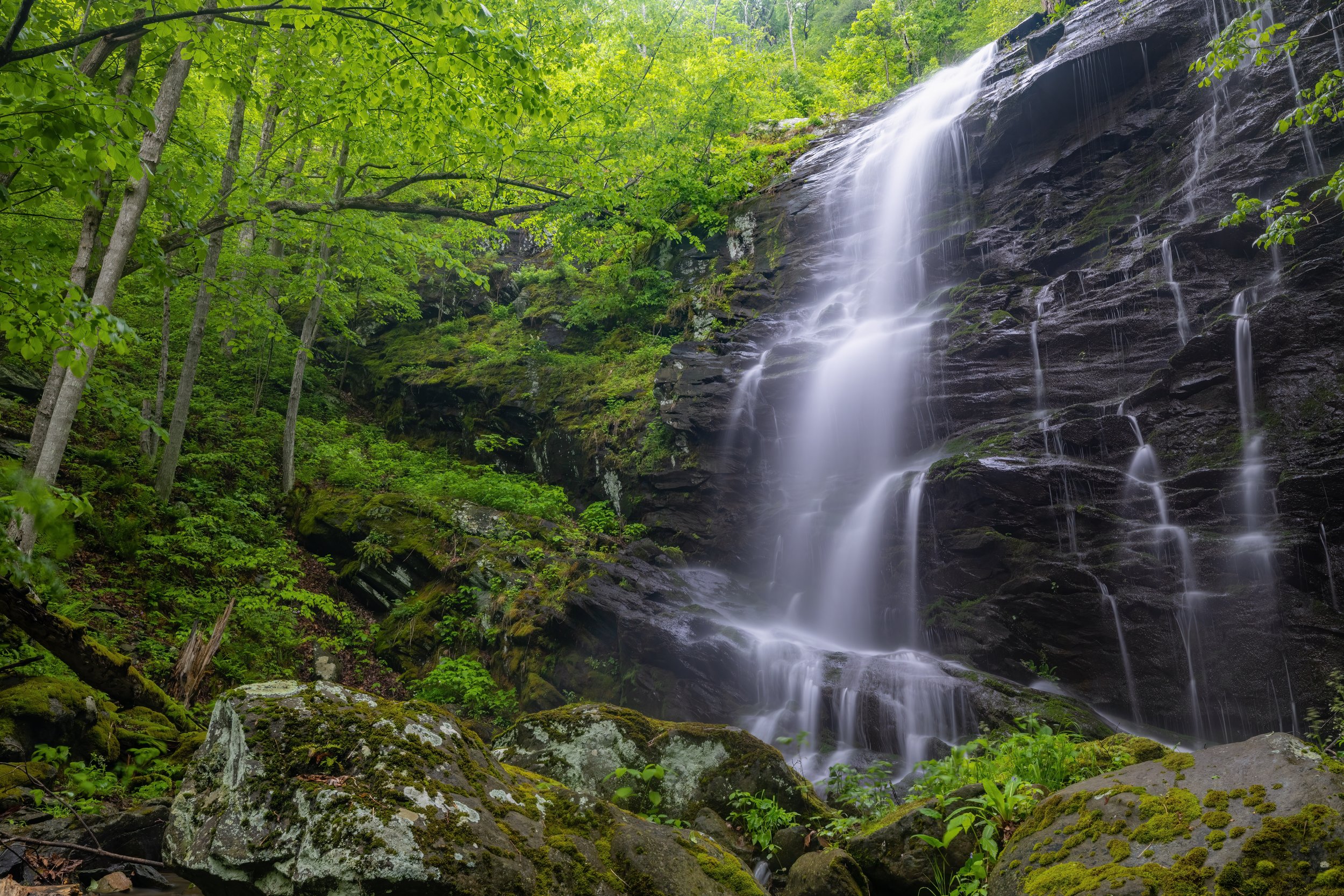 Big Creek Falls. Shenandoah N.P., Va. (May 2023)