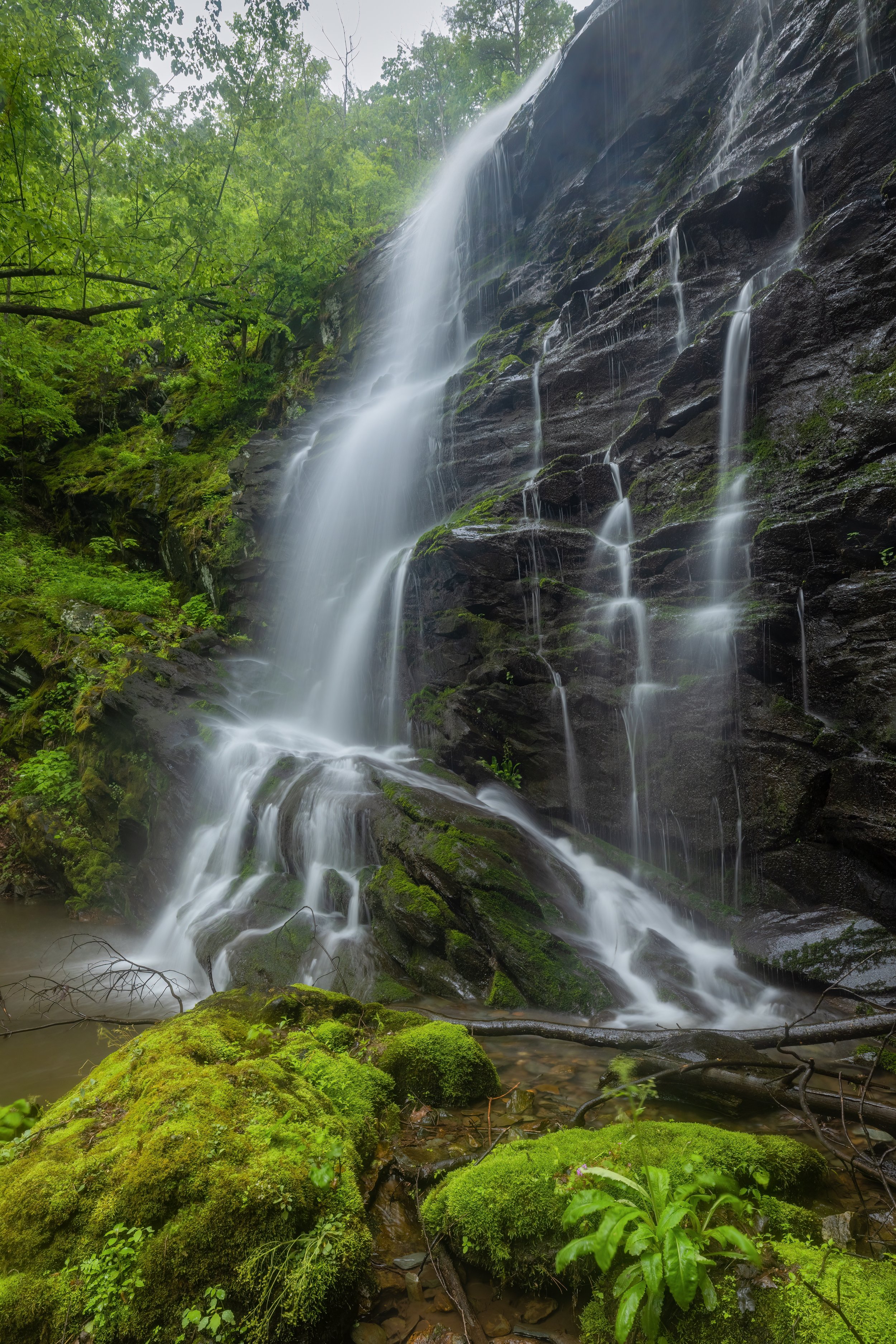 Pour Over. Shenandoah N.P., Va. (May 2023)