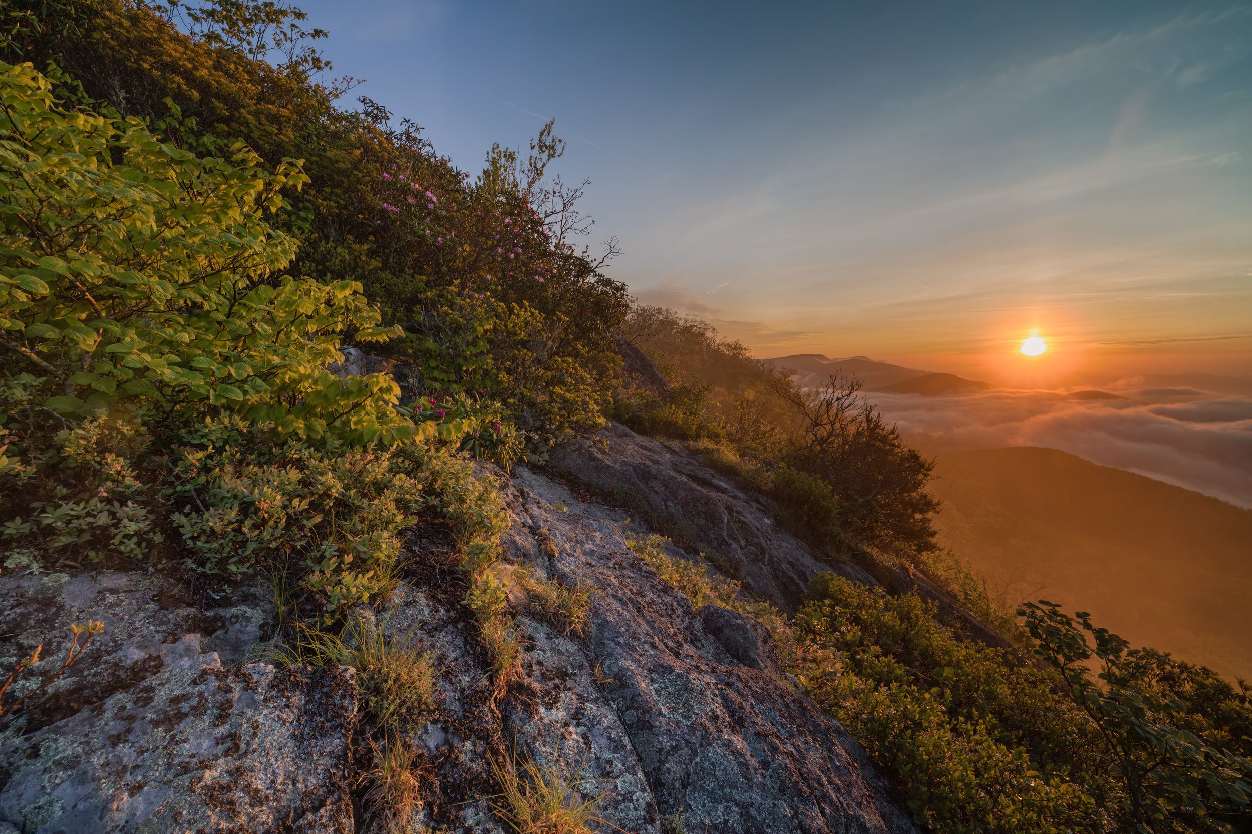 (Mount) Pleasant Morning. Virginia (May 2023)