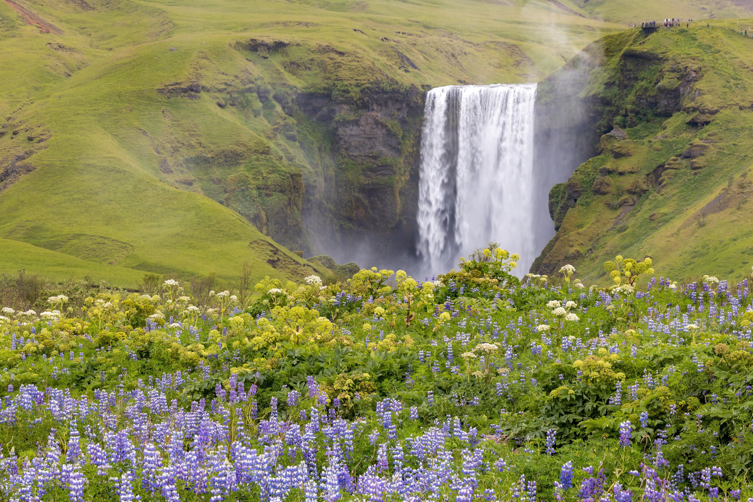 Summer Falls. Iceland (July 2023)