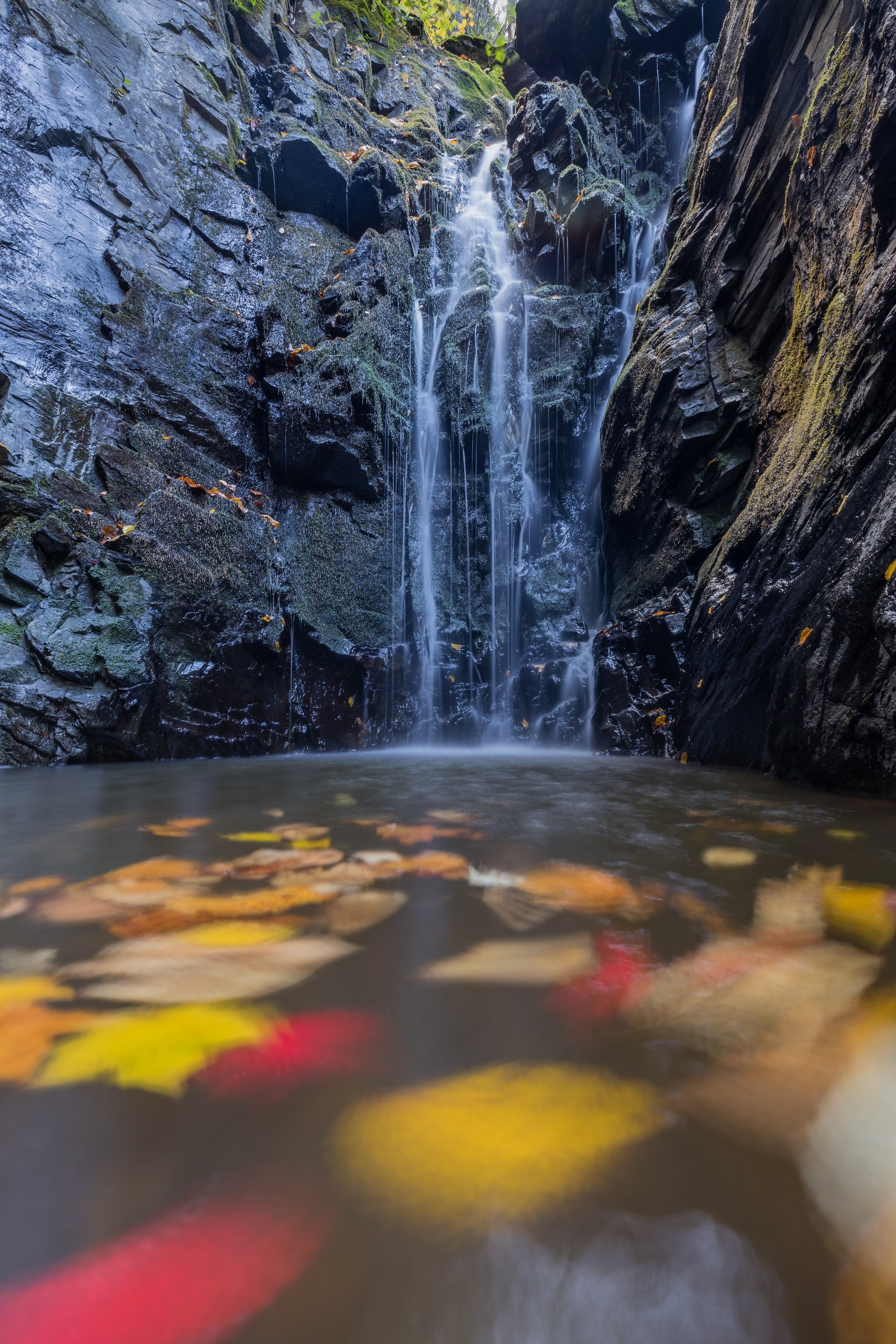 Water(fall). Shenandoah N.P., Va. (Oct. 2023)