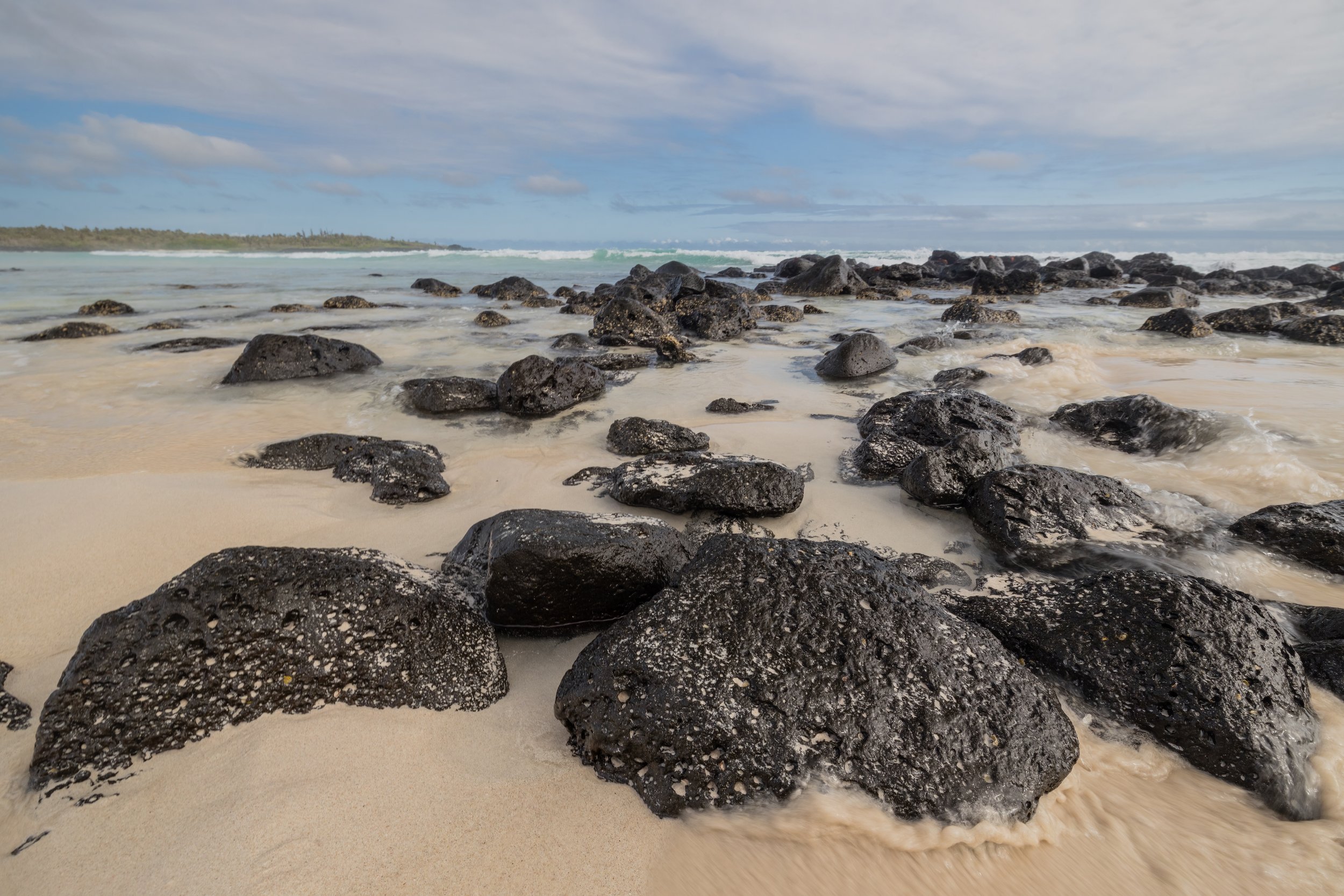 Tortuga Bay. Galapagos, Ecuador (Oct. 2023)