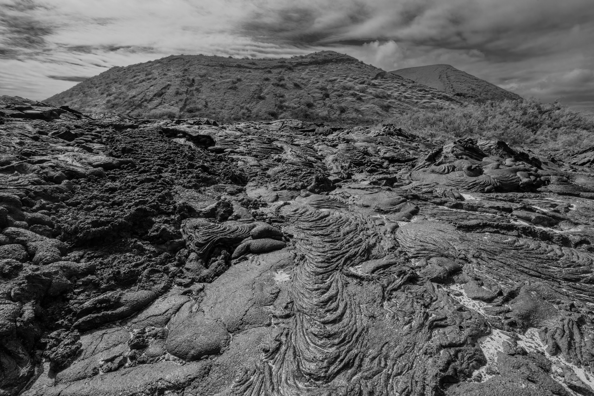 Lava Field. Galapagos, Ecuador (Oct. 2023)