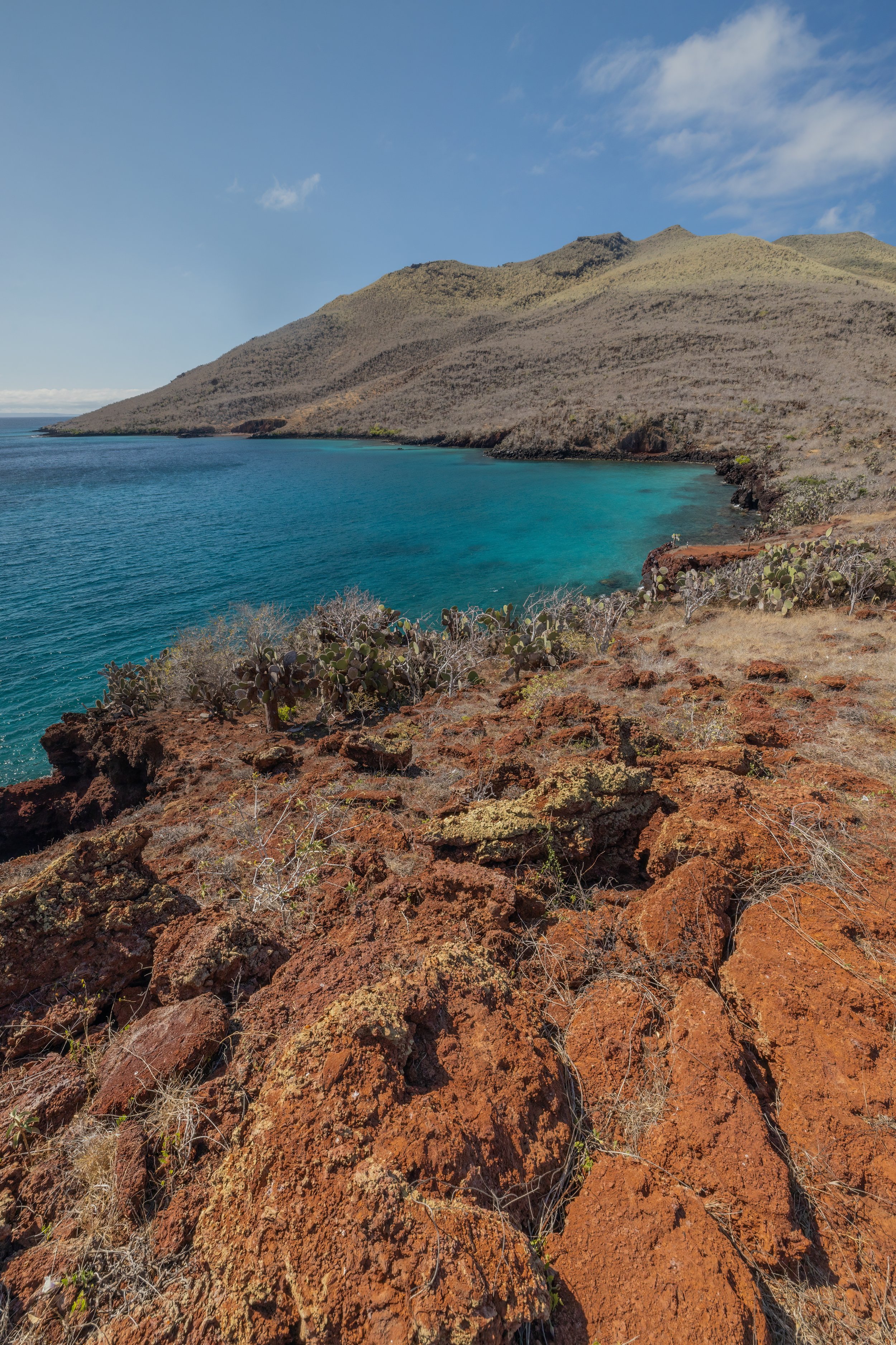 Rabida. Galapagos, Ecuador (Oct. 2023)