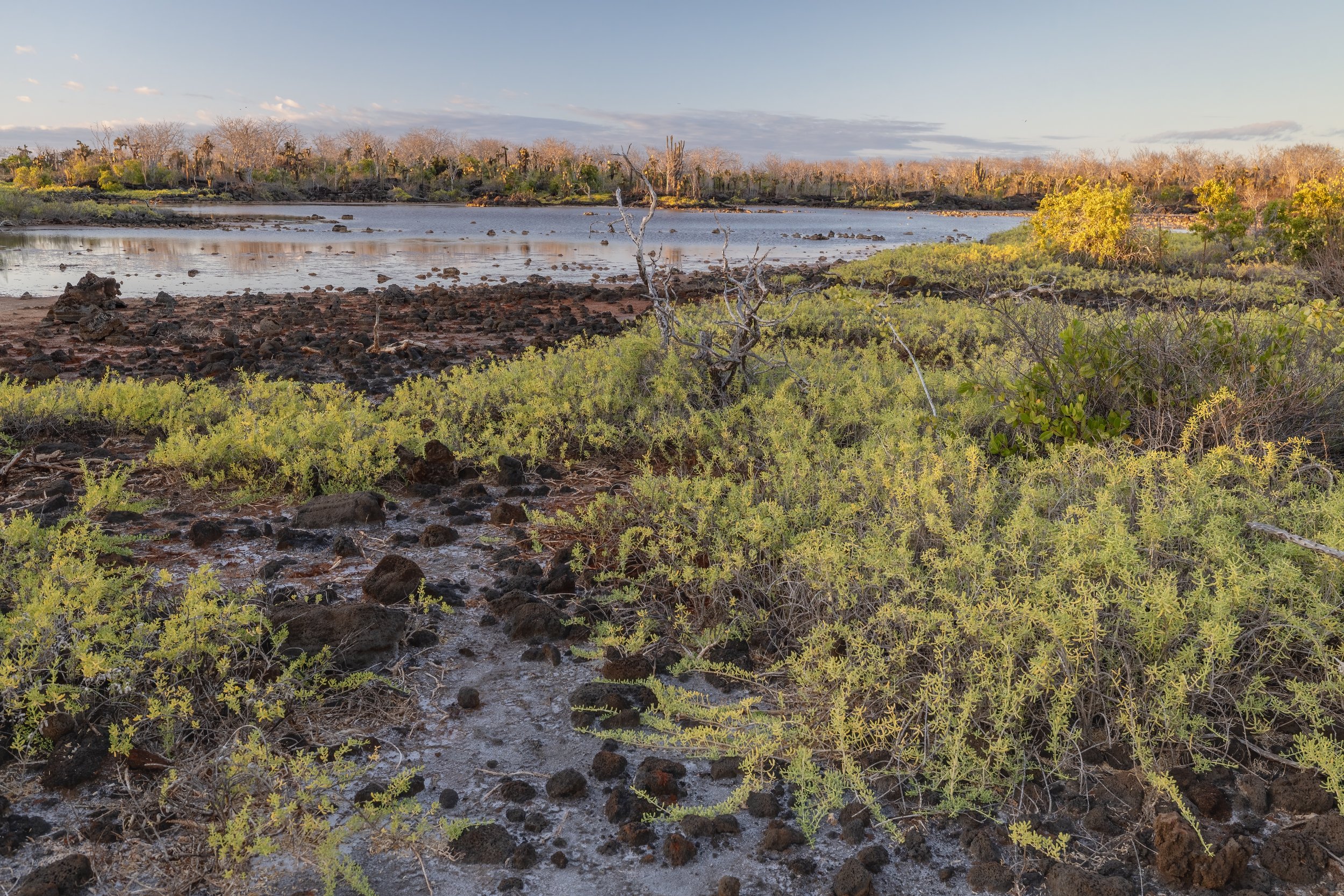 Sunset Lagoon. Galapagos, Ecuador (Oct. 2023)