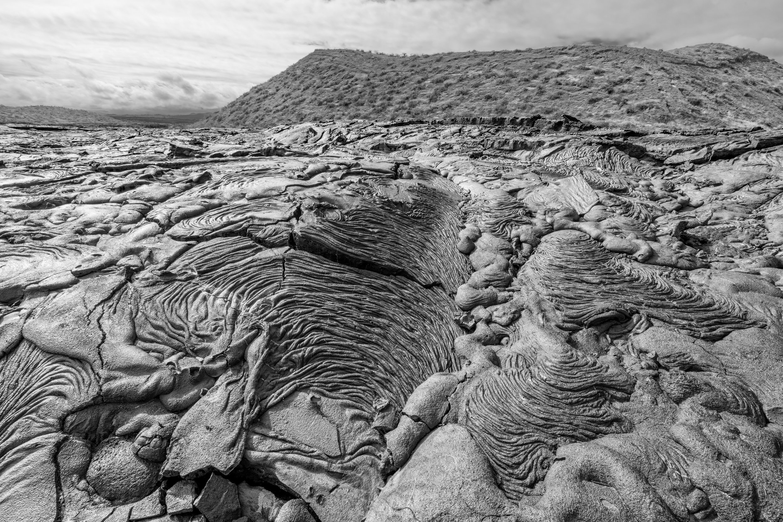 Lava Field. Galapagos, Ecuador (Oct. 2023)