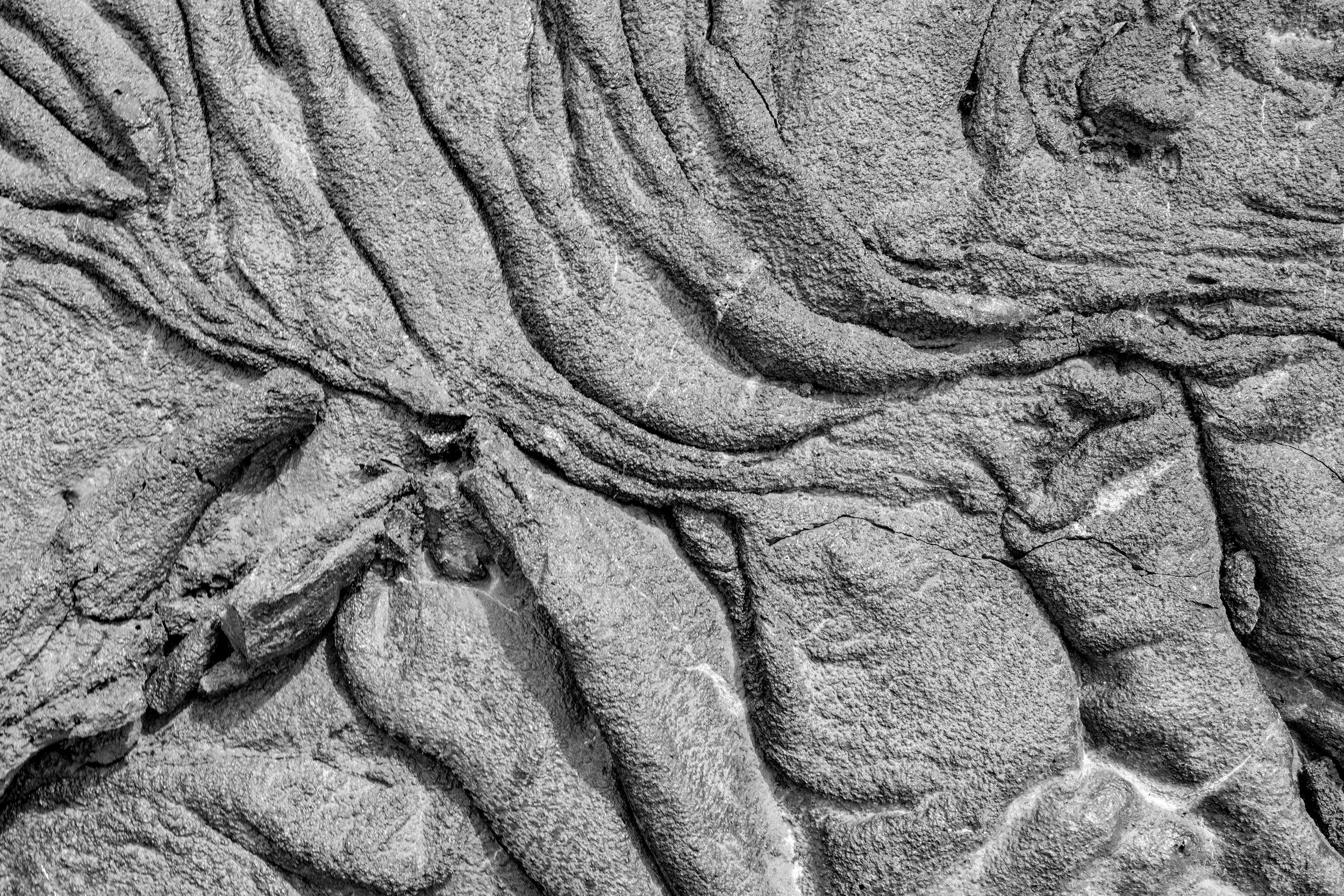 Lava Detail. Galapagos, Ecuador (Oct. 2023)