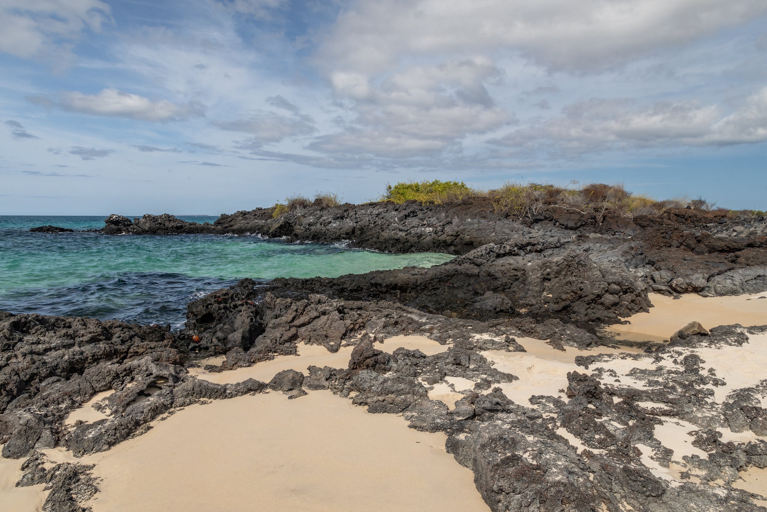 Bachas. Galapagos, Ecuador (Oct. 2023)