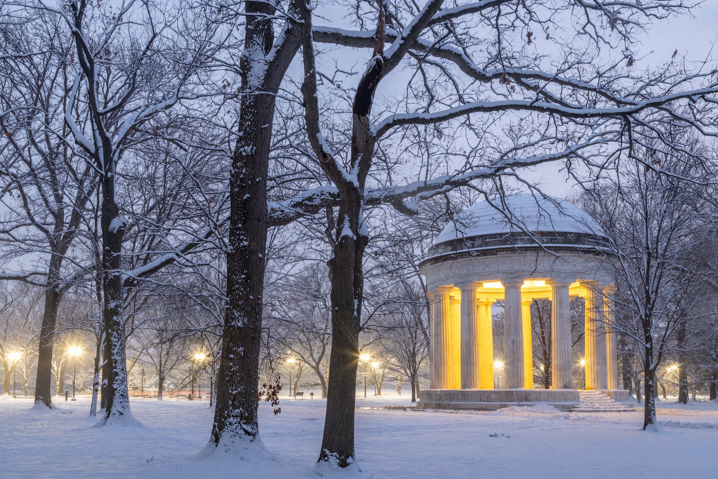Winter Season. Washington, D.C. (Jan. 2024)
