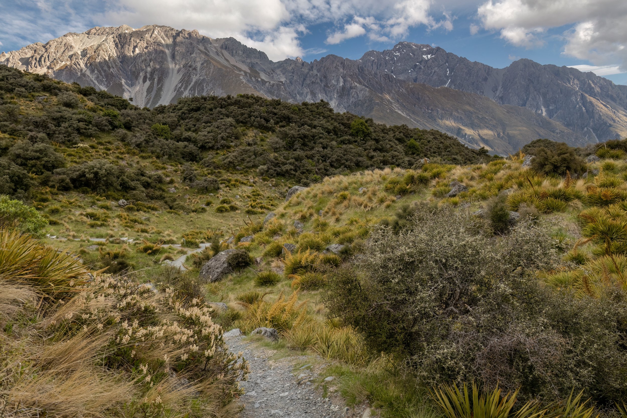 The Nuns Veil. Tasman Valley, N.Z. (Nov. 2024)