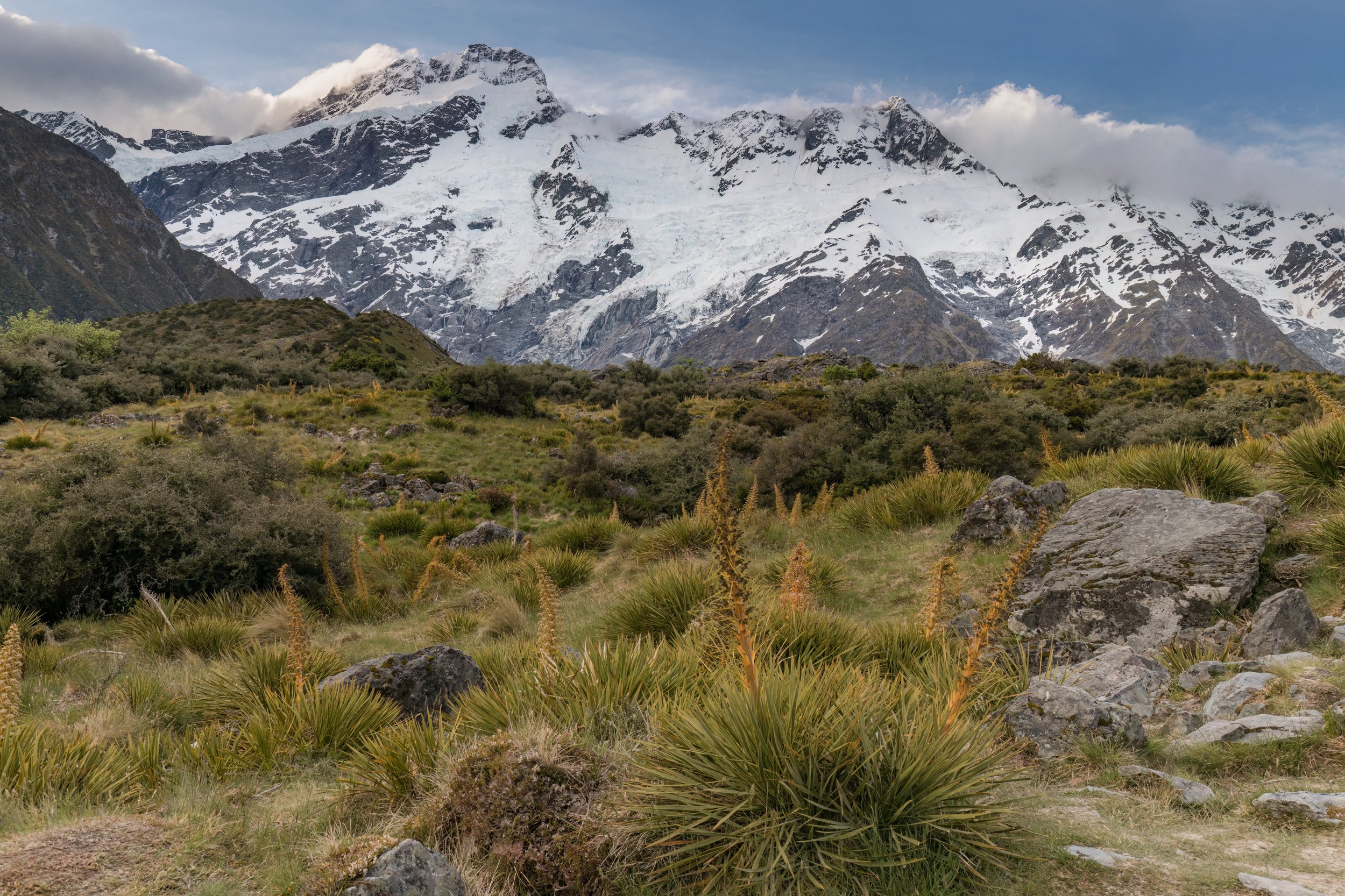 Mount Sefton. Aoraki N.P., N.Z. (Nov. 2024)