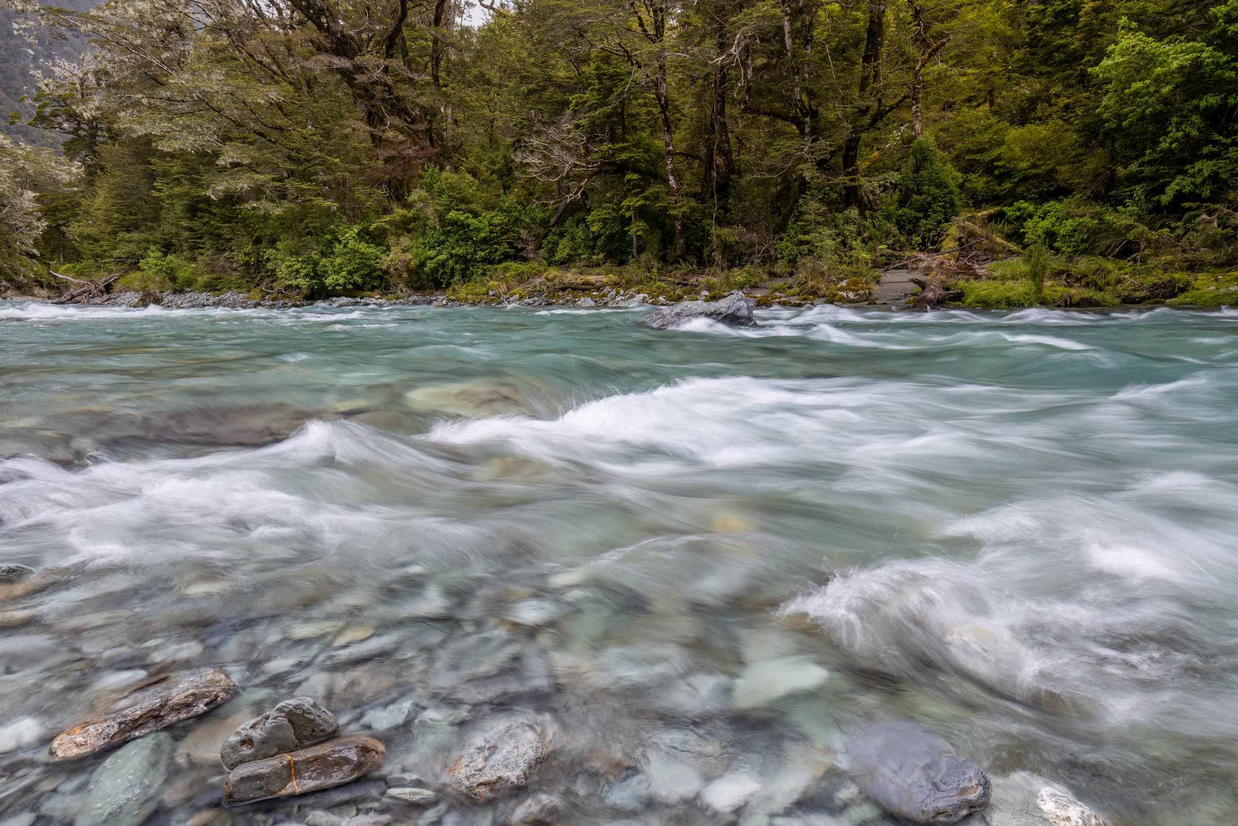 Routeburn River. South Island, N.Z. (Nov. 2024)