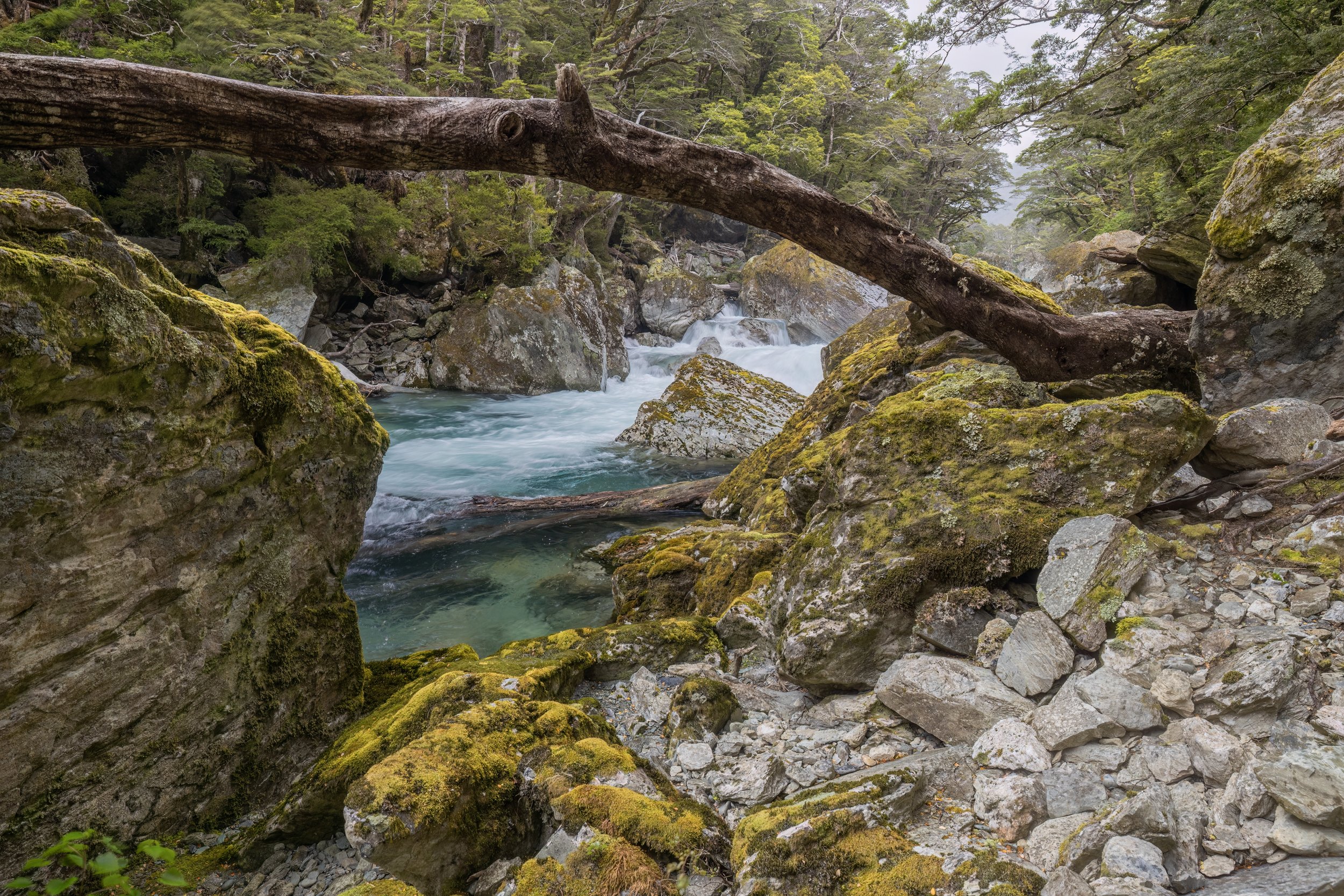 Routeburn River. South Island, N.Z. (Nov. 2024)