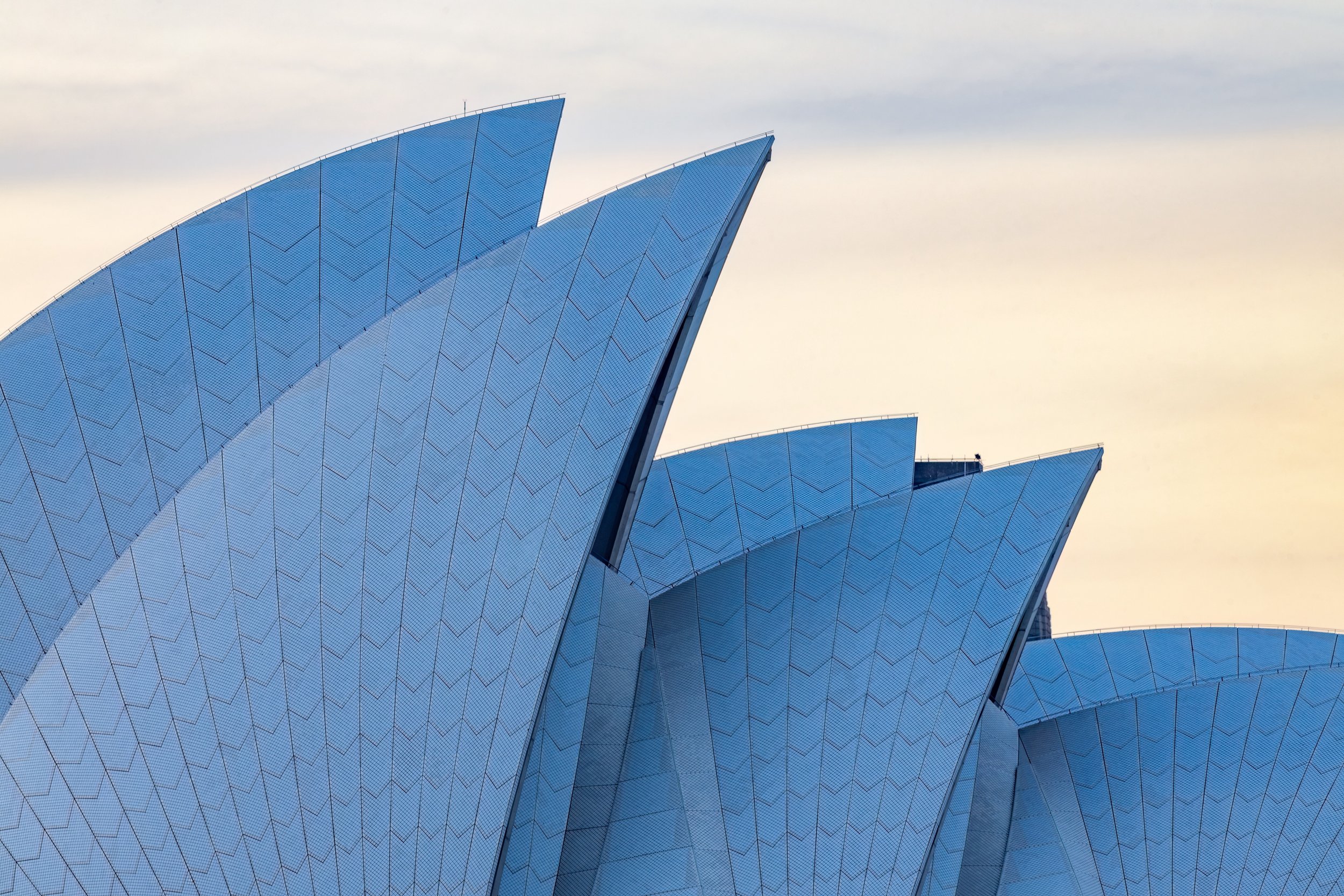 Opera House Detail. Sydney, Australia (Dec. 2024)