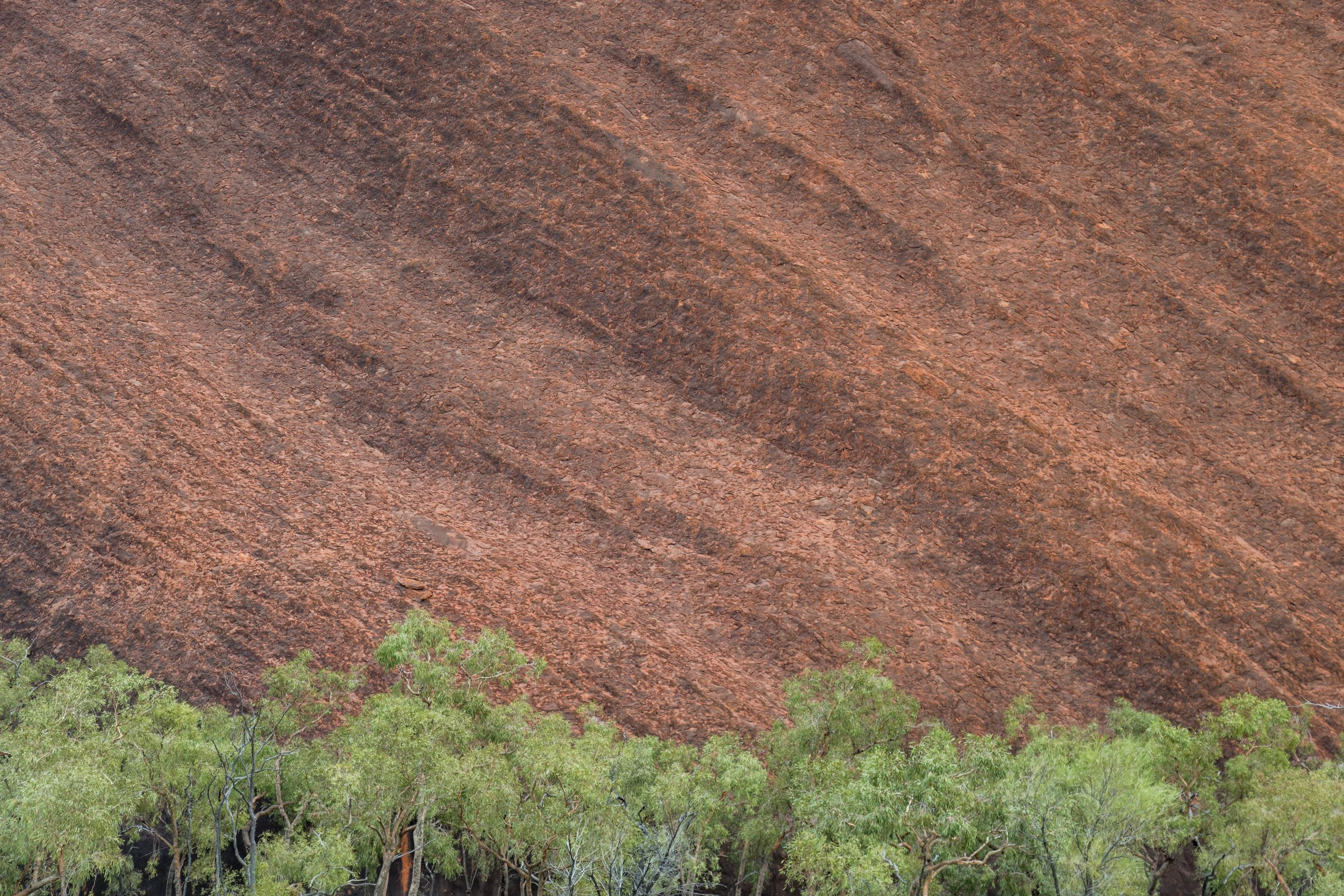 Monolith. Uluru, Australia (Dec. 2024)