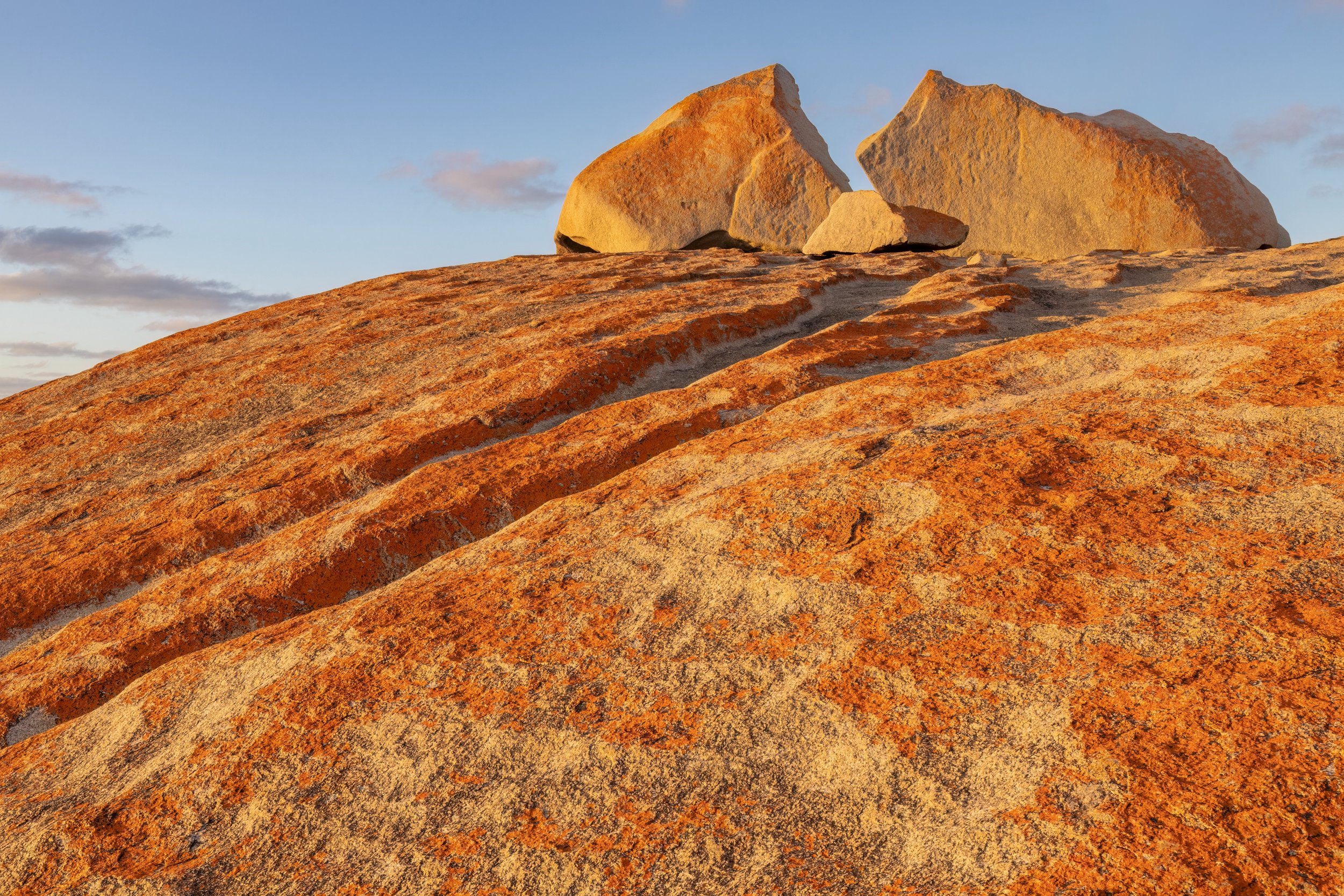 Cast In Gold. Kangaroo Island, Australia (Dec. 2024)