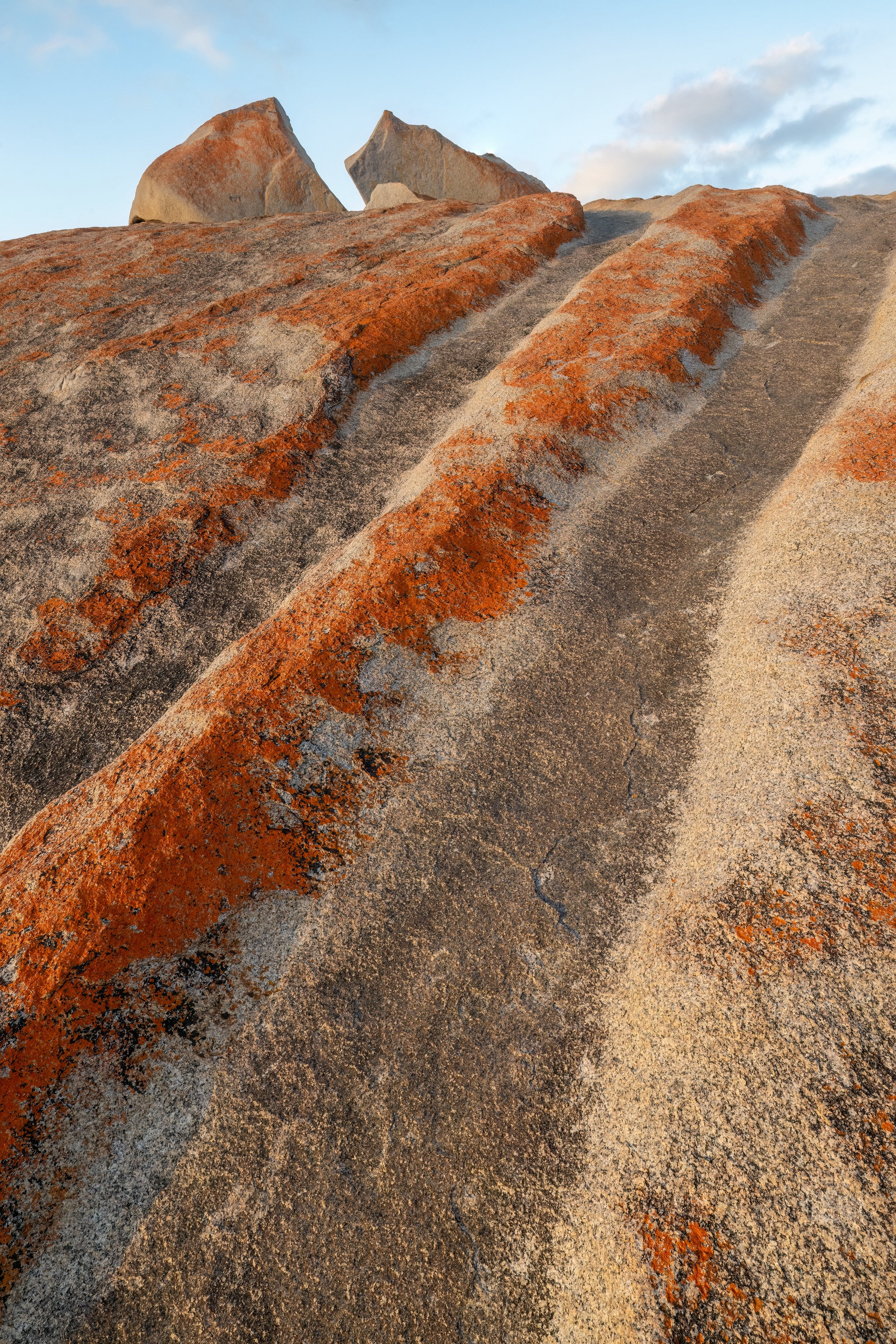 Parallels. Kangaroo Island, Australia (Dec. 2024)