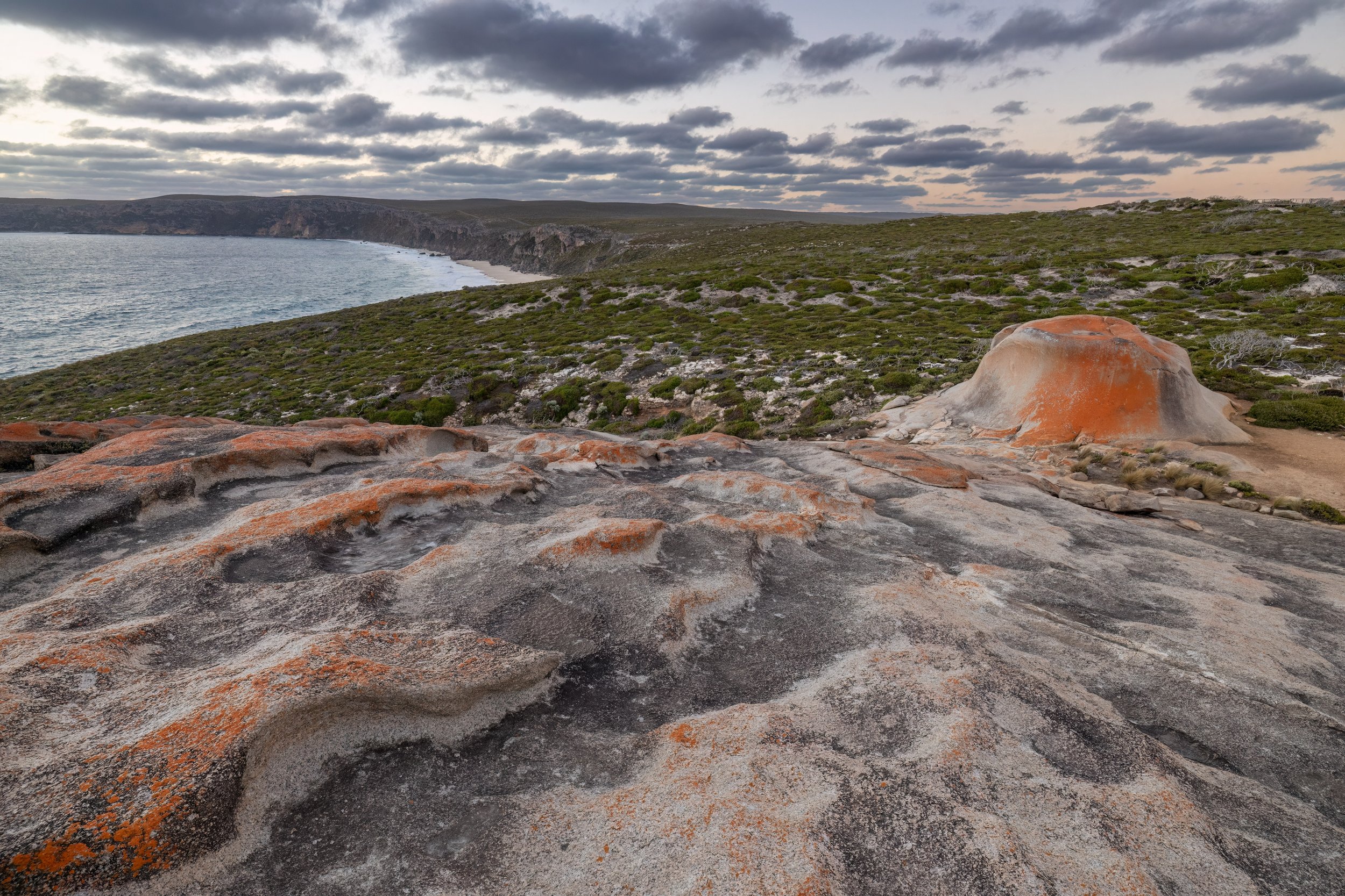 Earth's Edge. Kangaroo Island, Australia (Dec. 2024)