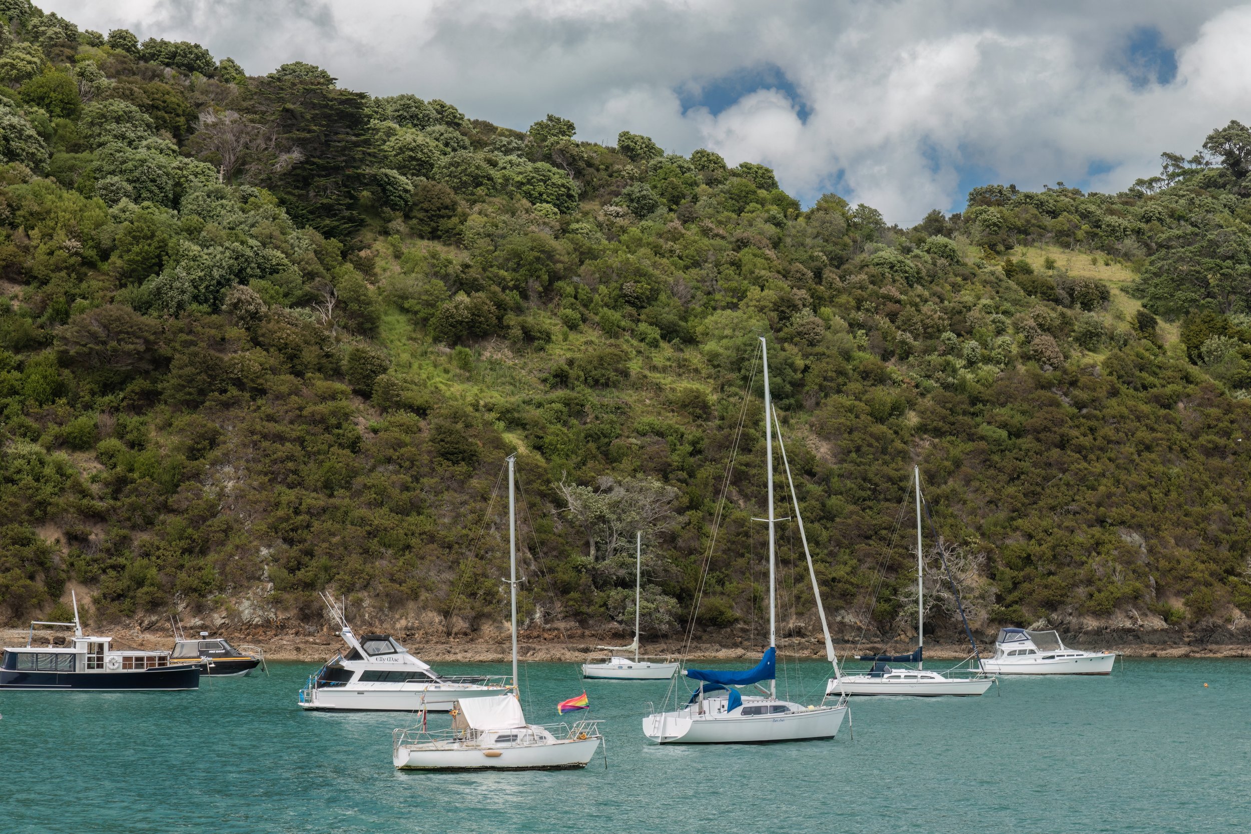 Harbor. Waiheke Island, N.Z. (Nov. 2024)