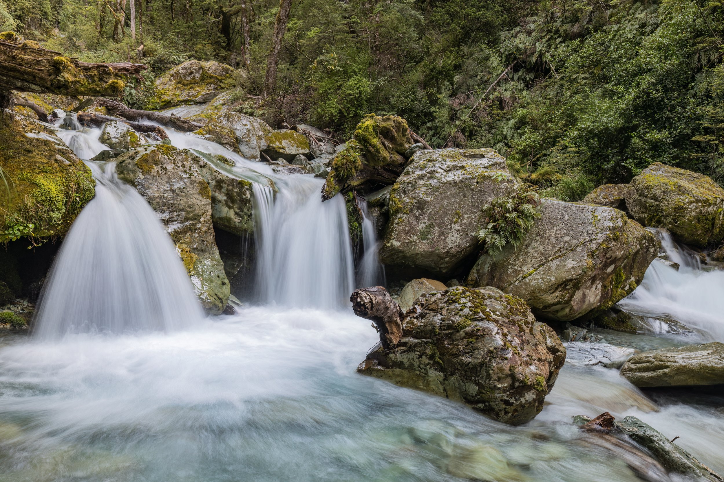 Routeburn Valley. South Island, N.Z. (Nov. 2024)