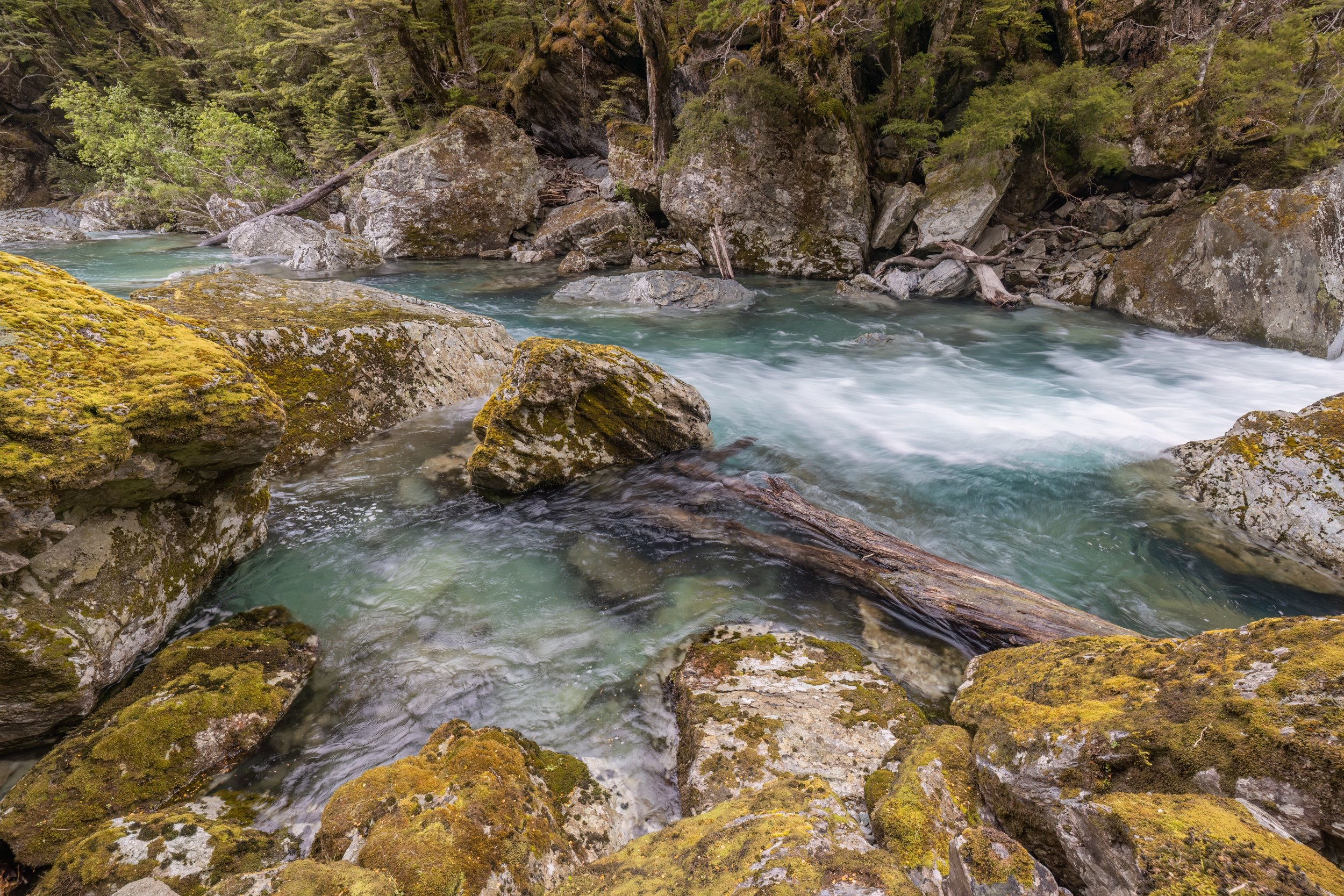 Routeburn River. South Island, N.Z. (Nov. 2024)
