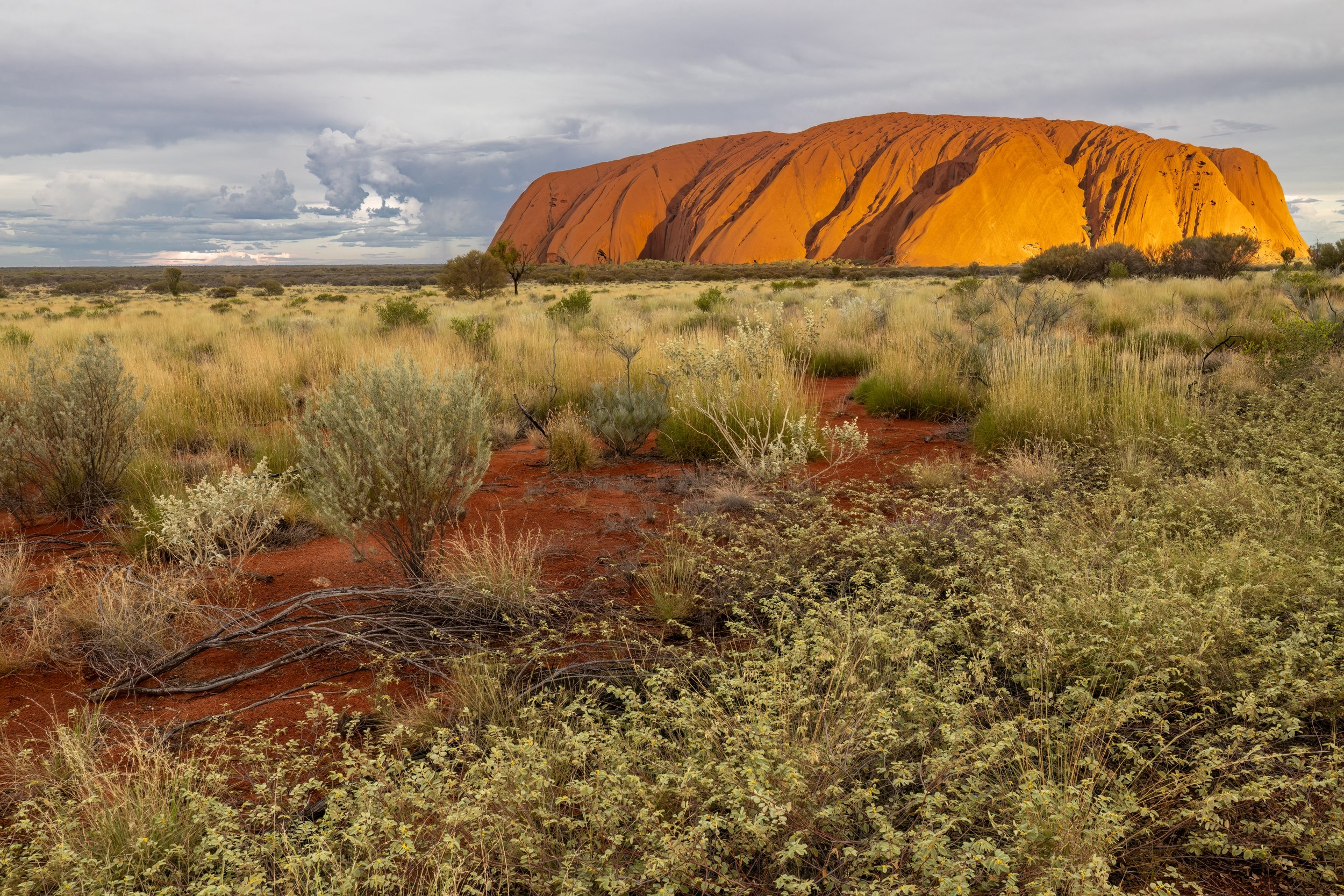 Sunset. Uluru, Australia (Dec. 2024)