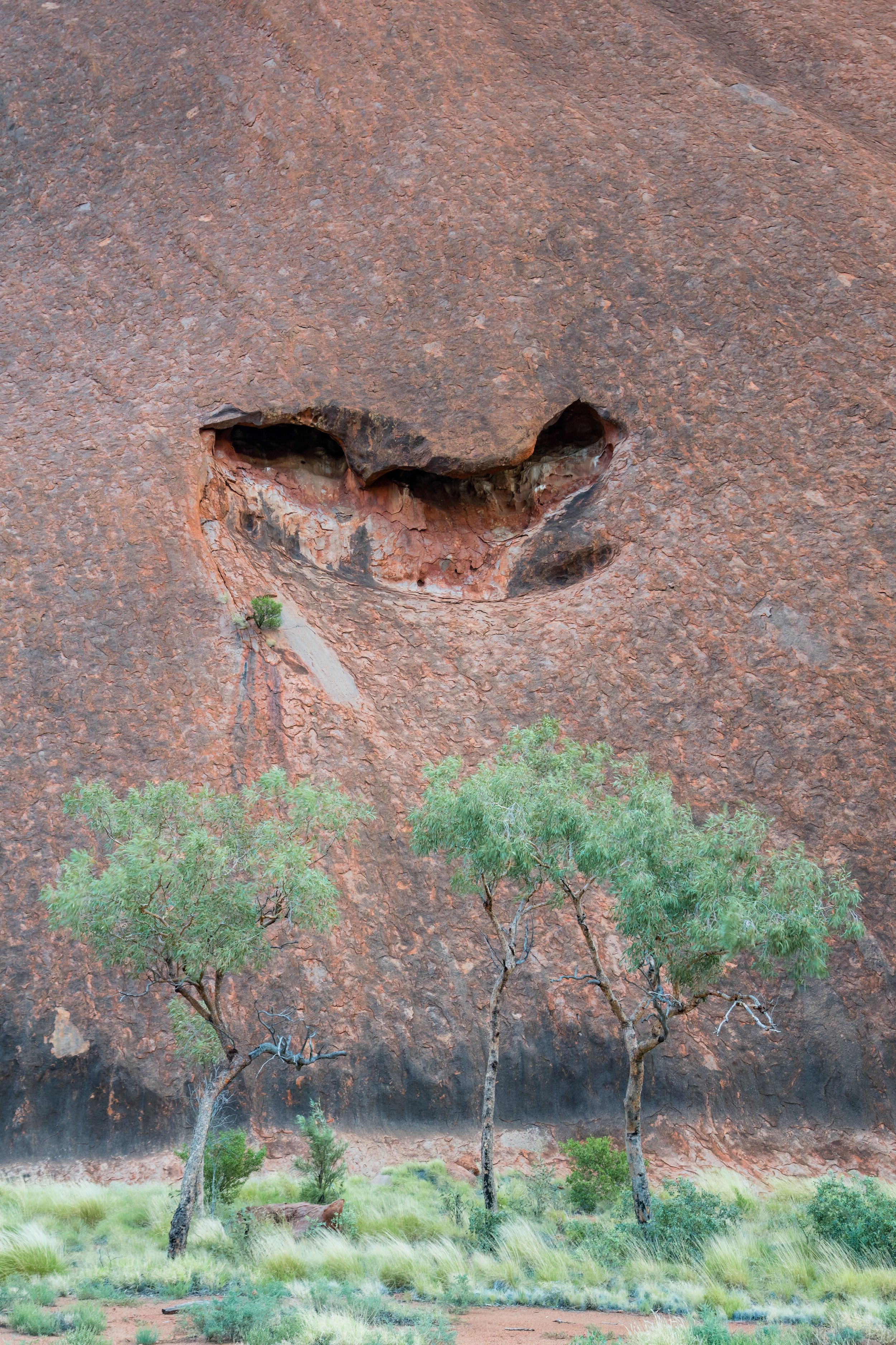 Base Wall. Uluru, Australia (Dec. 2024)