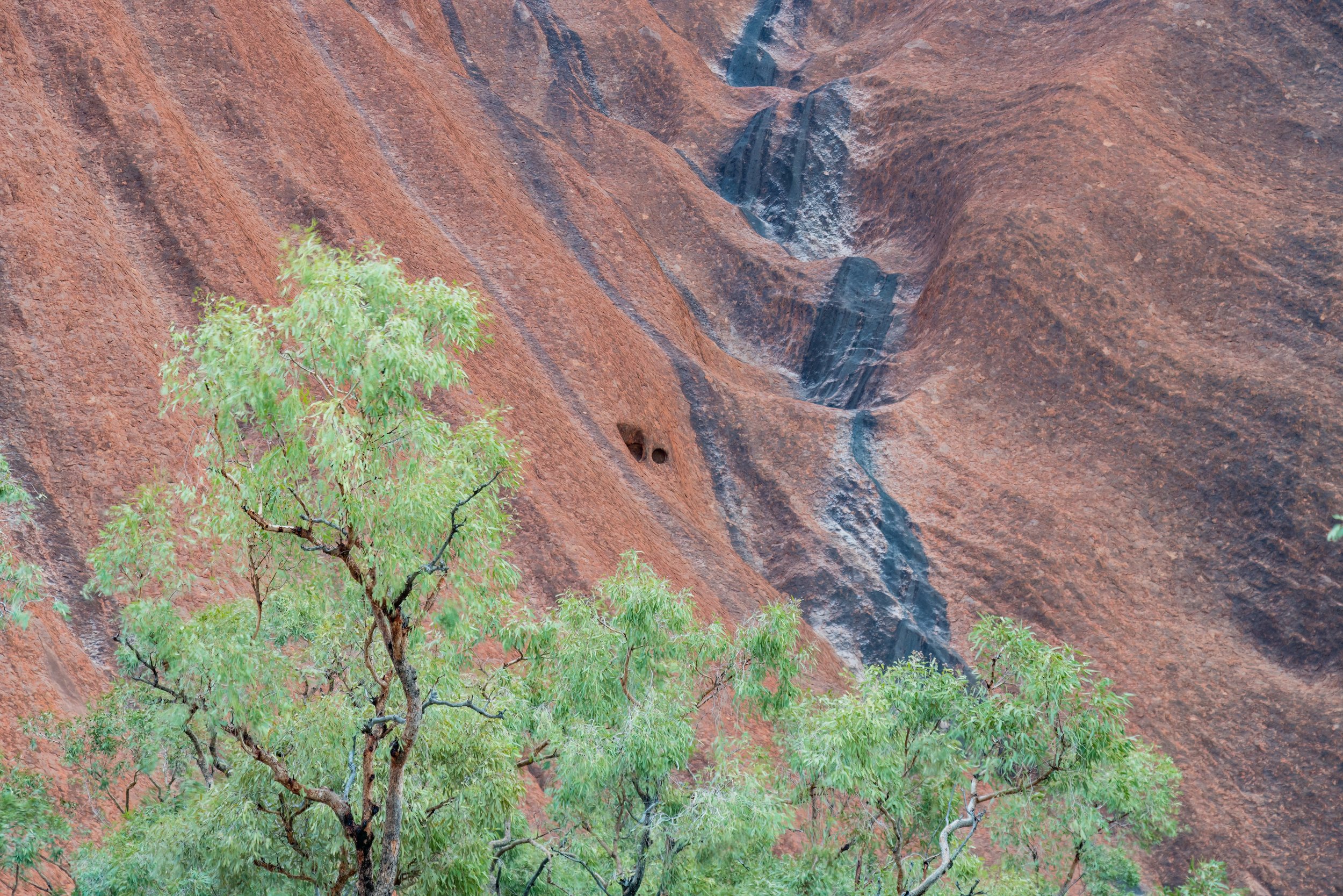 Base Walk. Uluru, Australia (Dec. 2024)