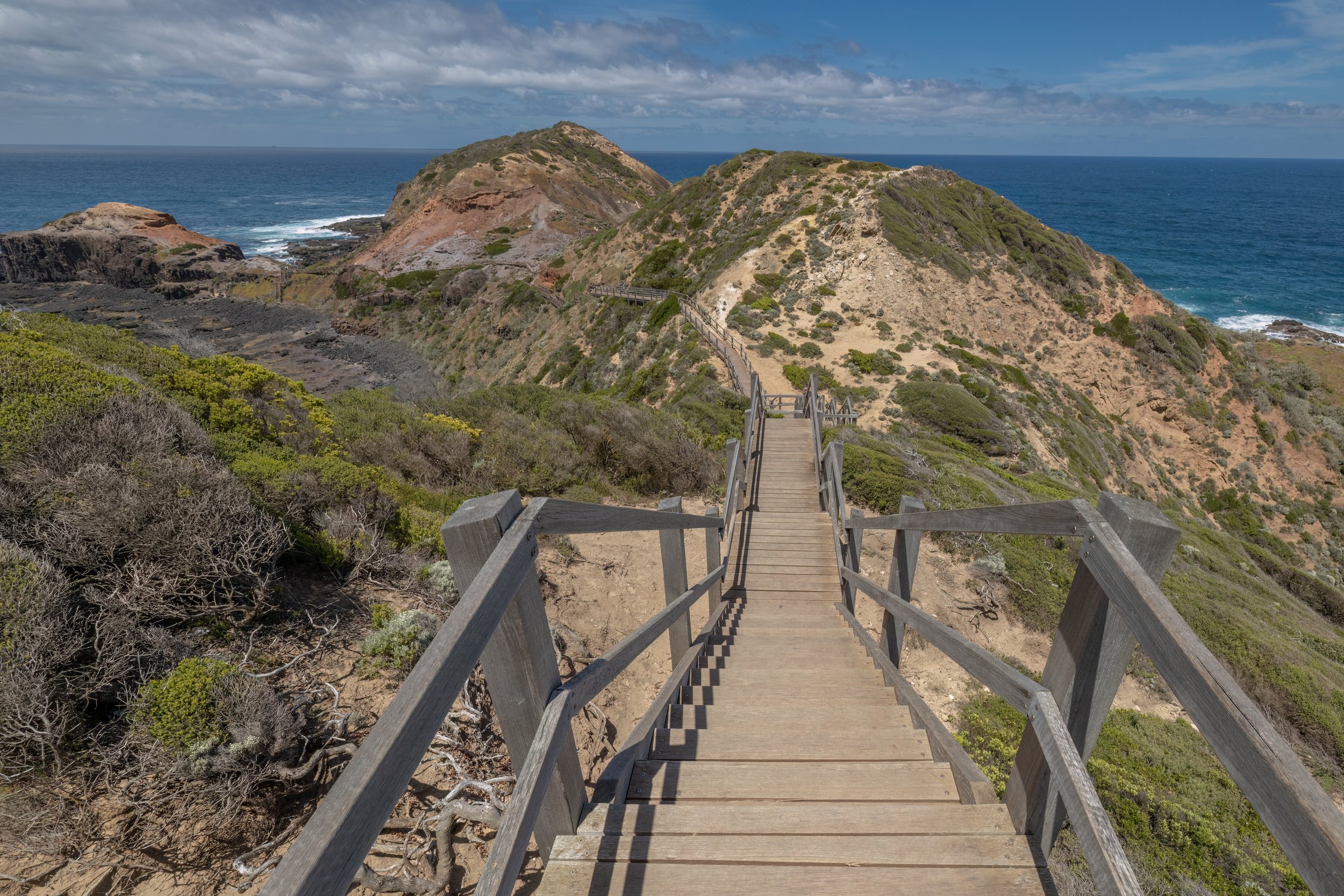 Cape Schanck. Mornington Peninsula, Australia (Dec. 2024)
